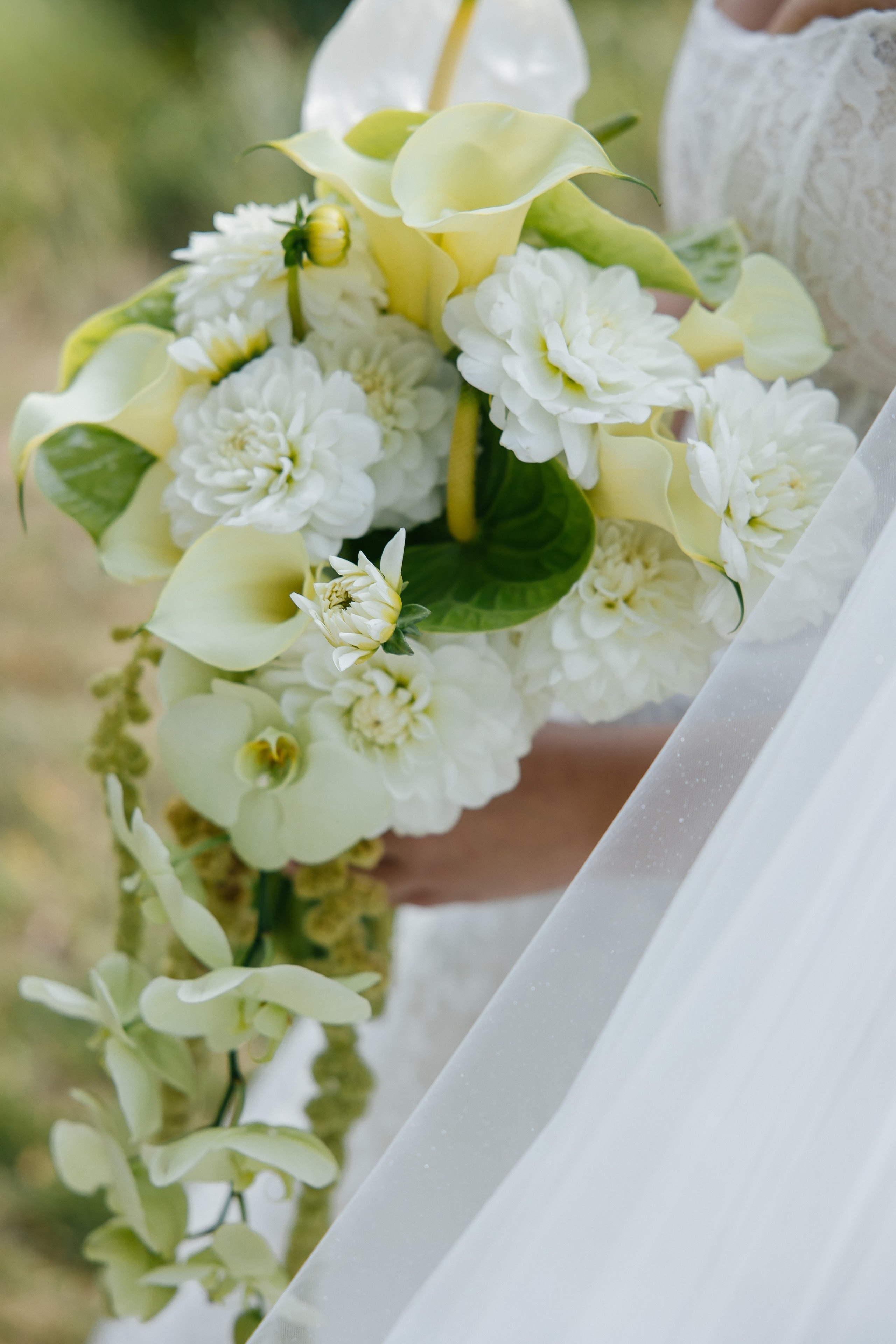 Andriy & Oleksandra. Весільний фотограф Любов Шарко Черкаси