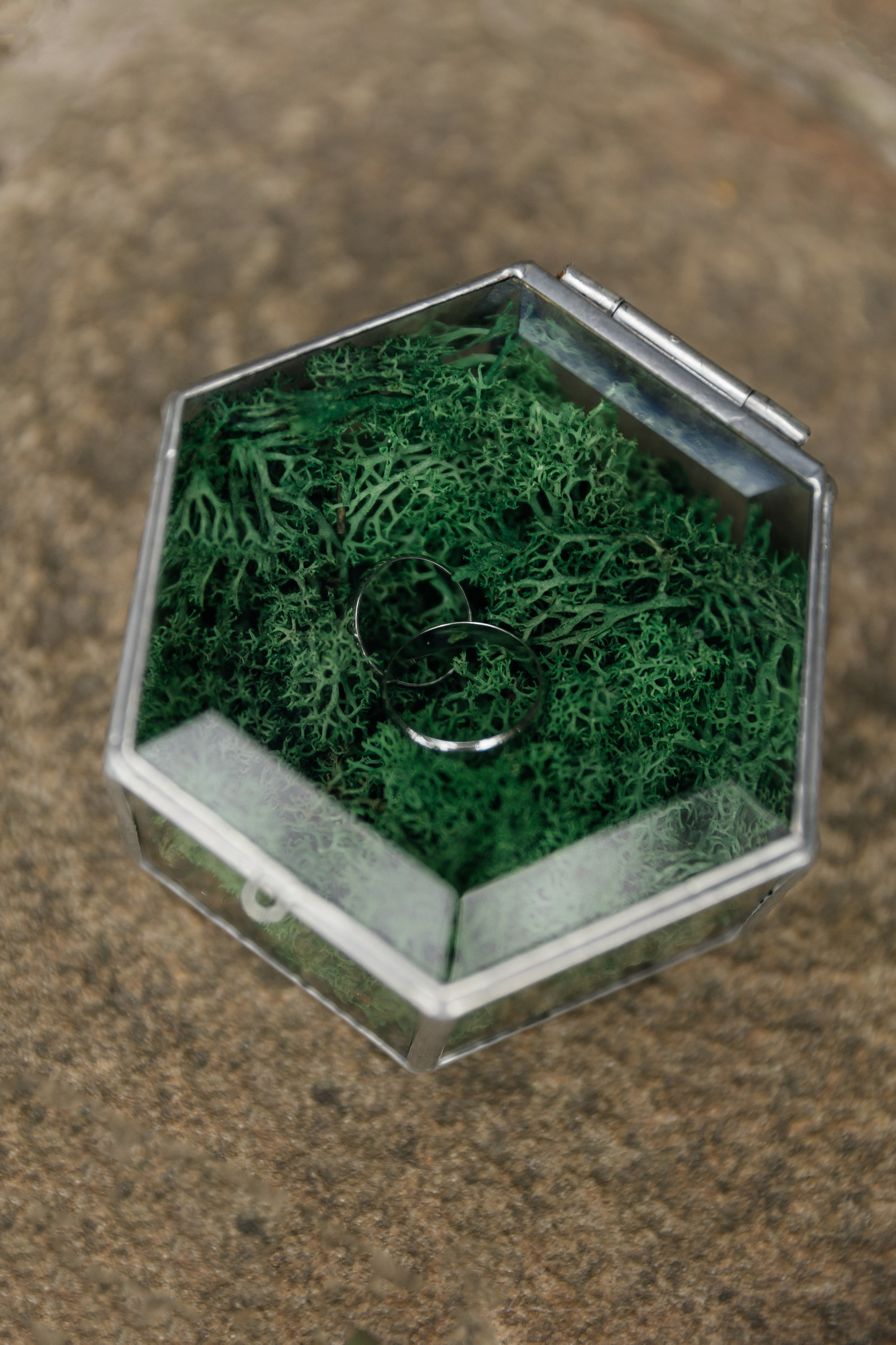 Forever together. Весільний фотограф Любов Шарко Черкаси