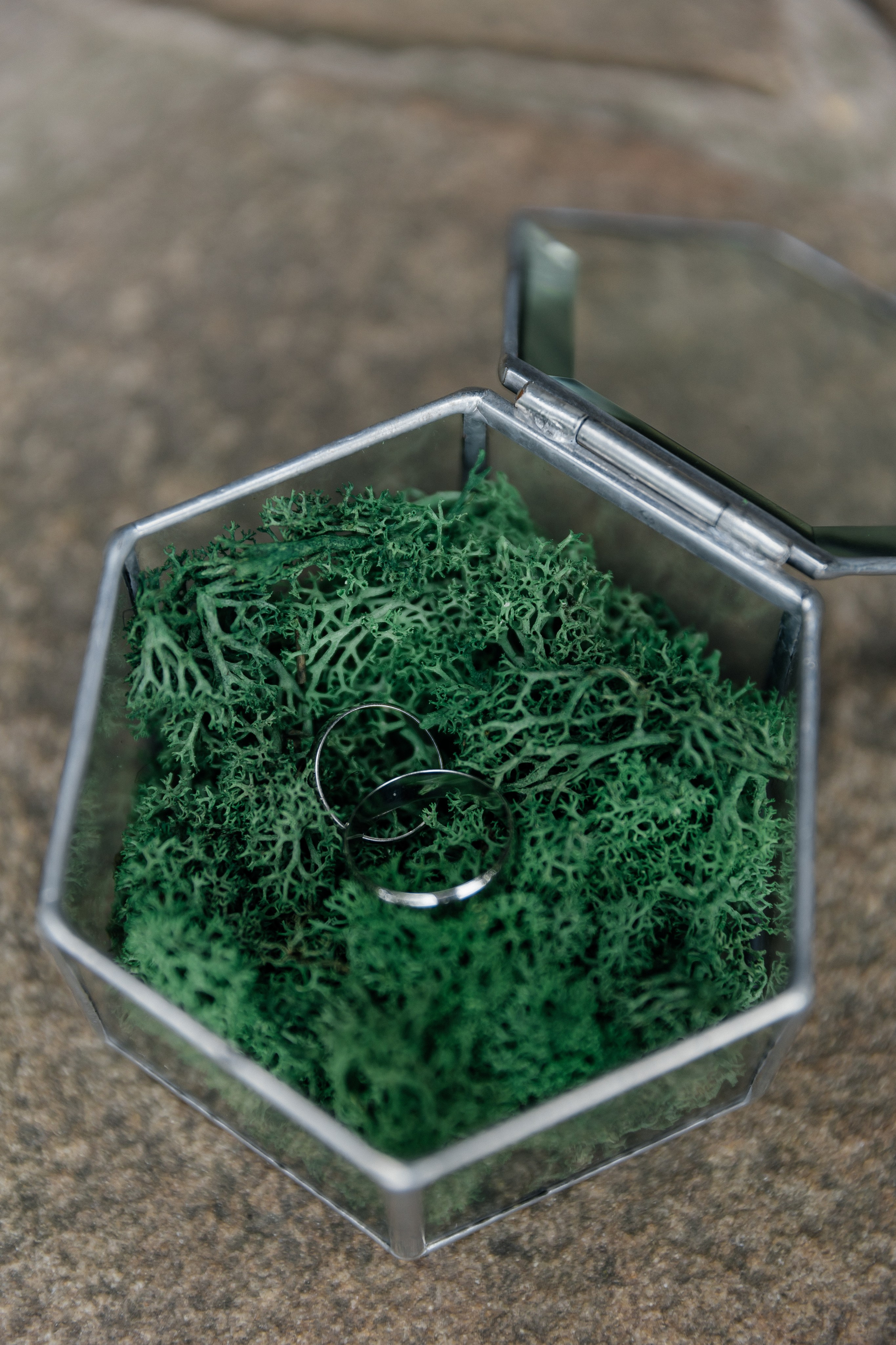 Forever together. Весільний фотограф Любов Шарко Черкаси