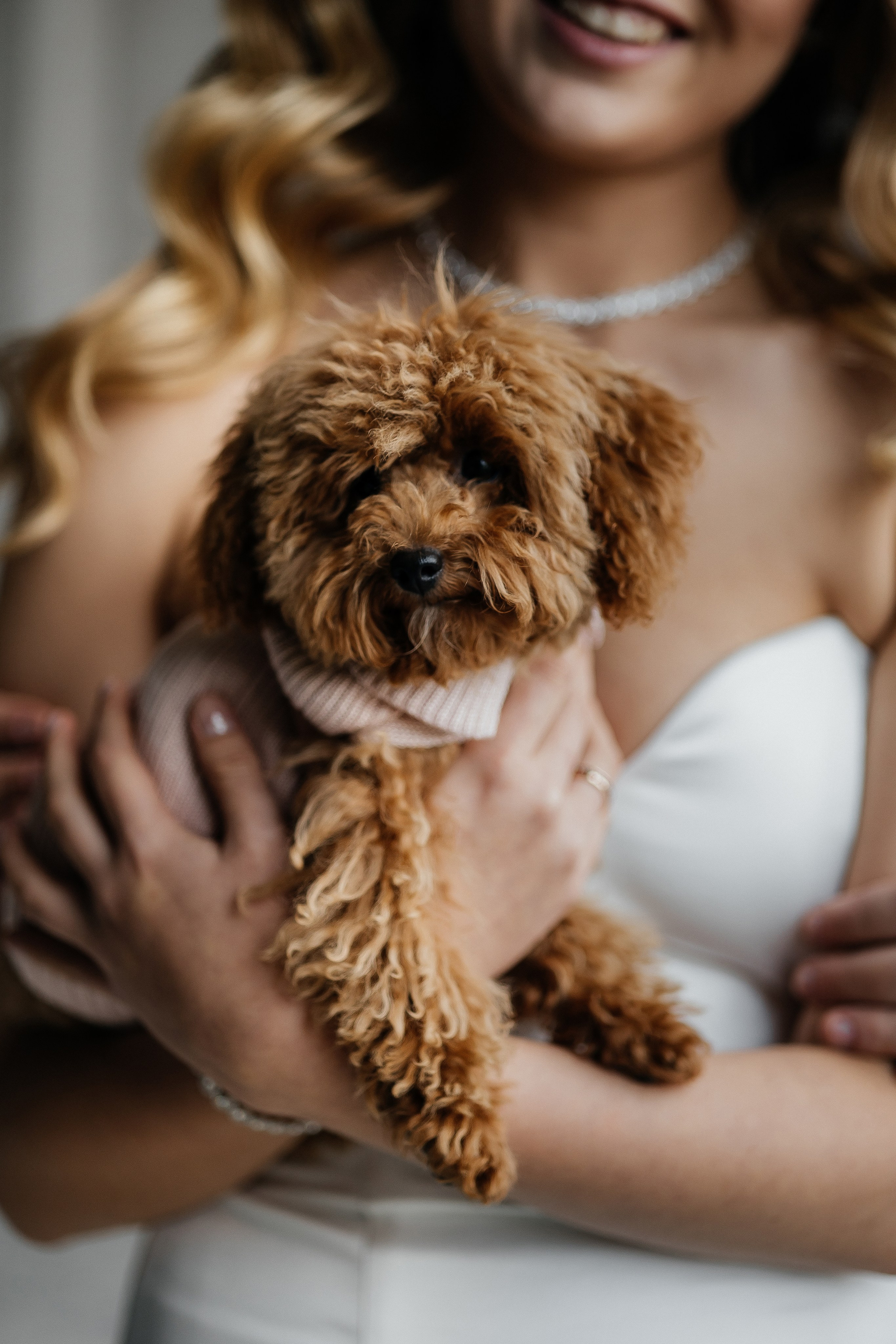 Eternally yours. Весільний фотограф Любов Шарко Черкаси