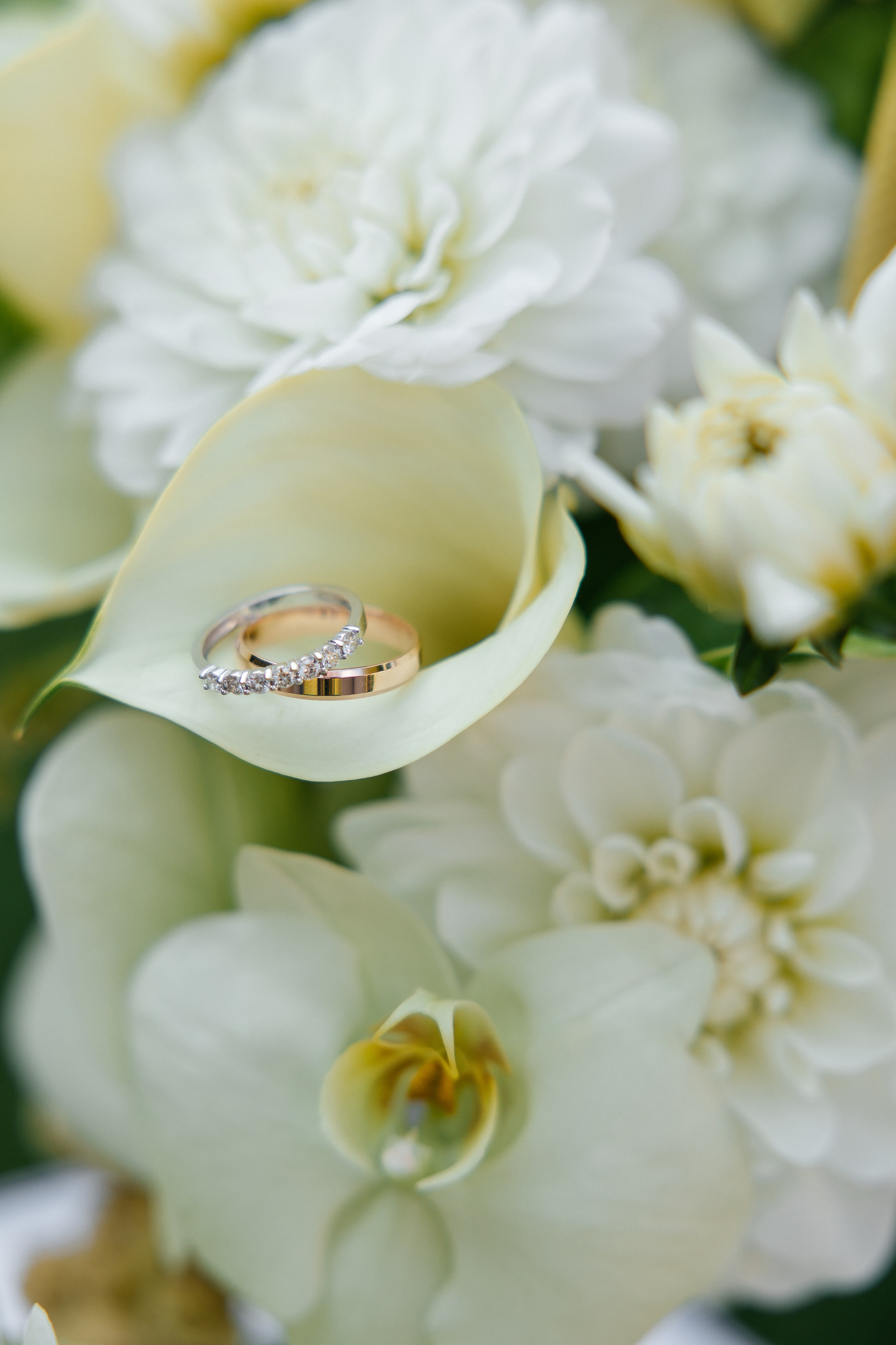 Andriy & Oleksandra. Весільний фотограф Любов Шарко Черкаси