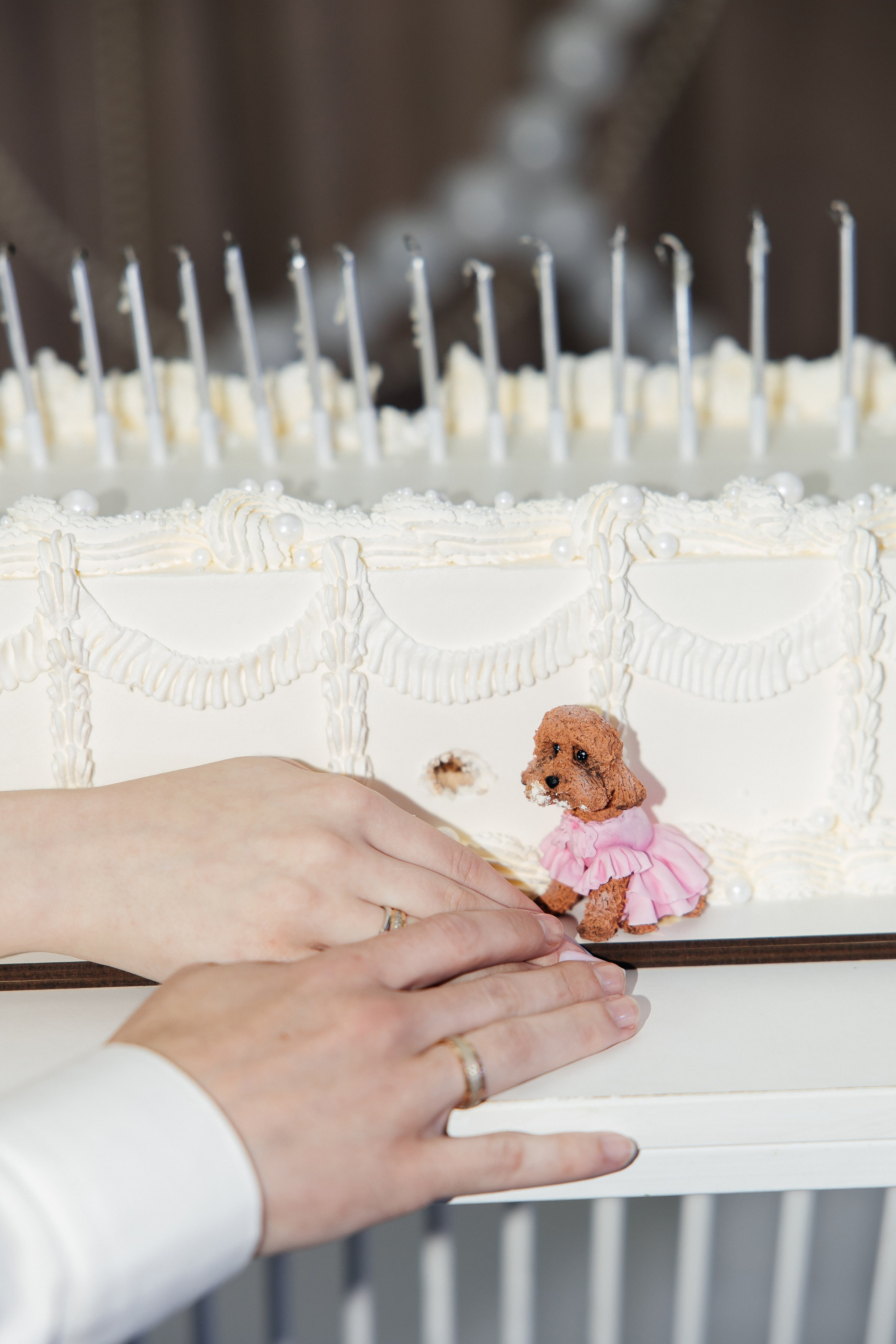 Oleg and Sofia. Весільний фотограф Любов Шарко Черкаси