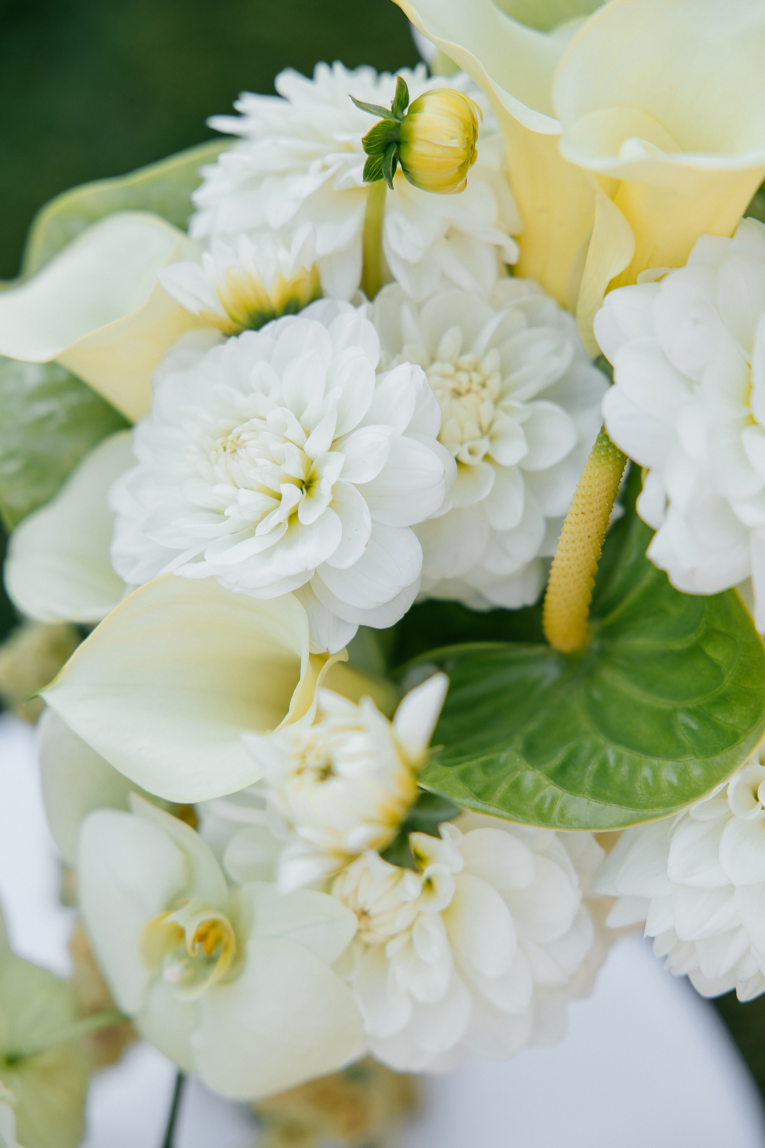 Andriy & Oleksandra. Весільний фотограф Любов Шарко Черкаси