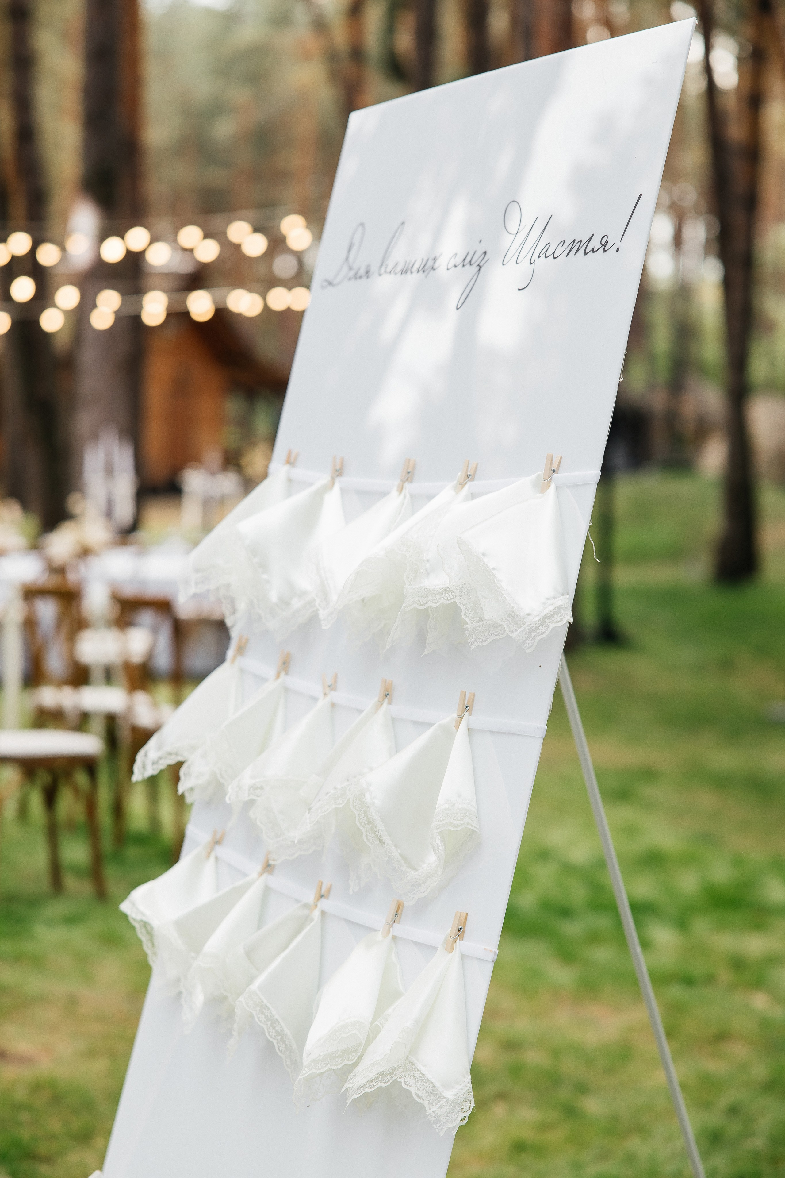 Mykhailo & Diana. Весільний фотограф Любов Шарко Черкаси