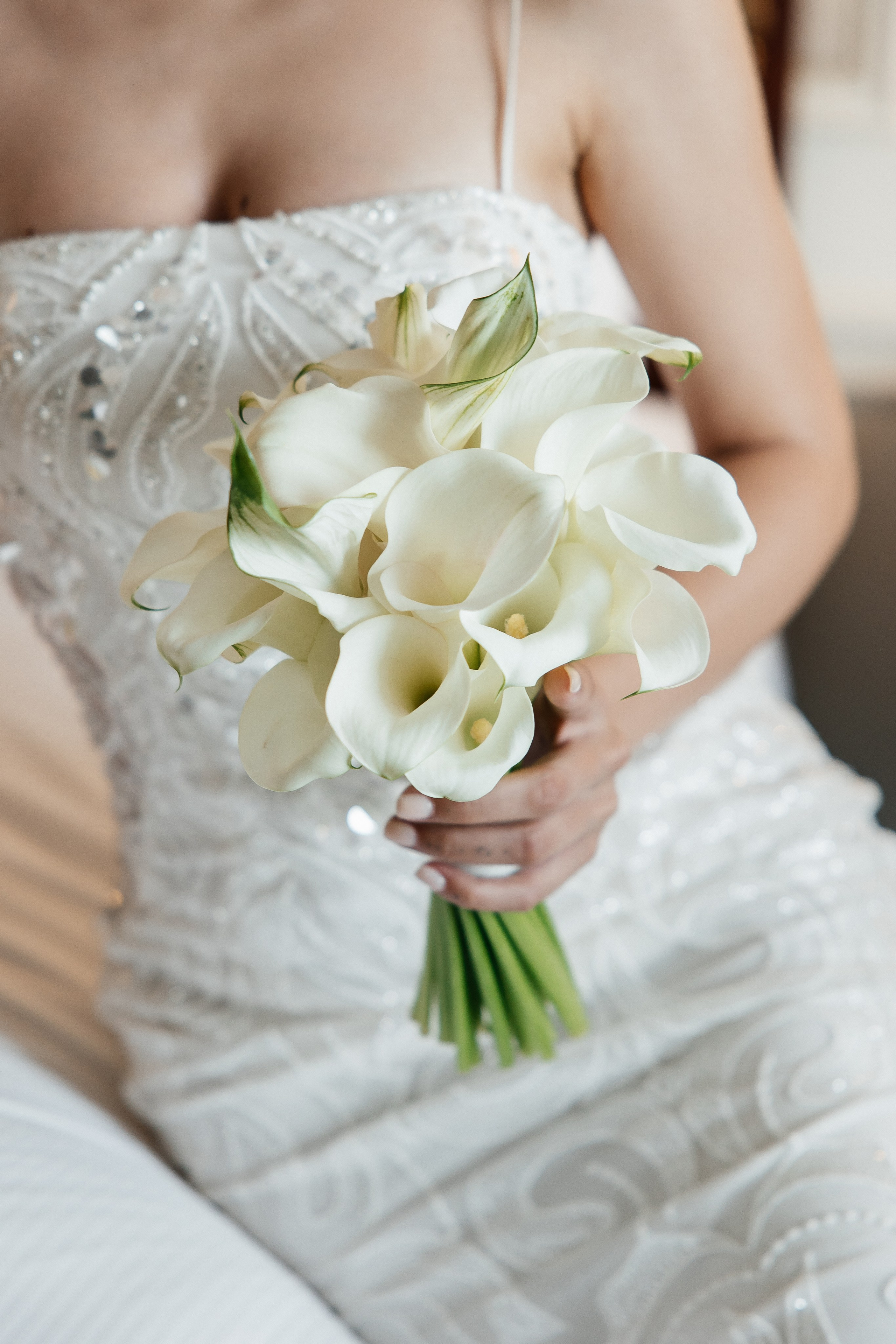 Oleksandr & Nicole. Весільний фотограф Любов Шарко Черкаси