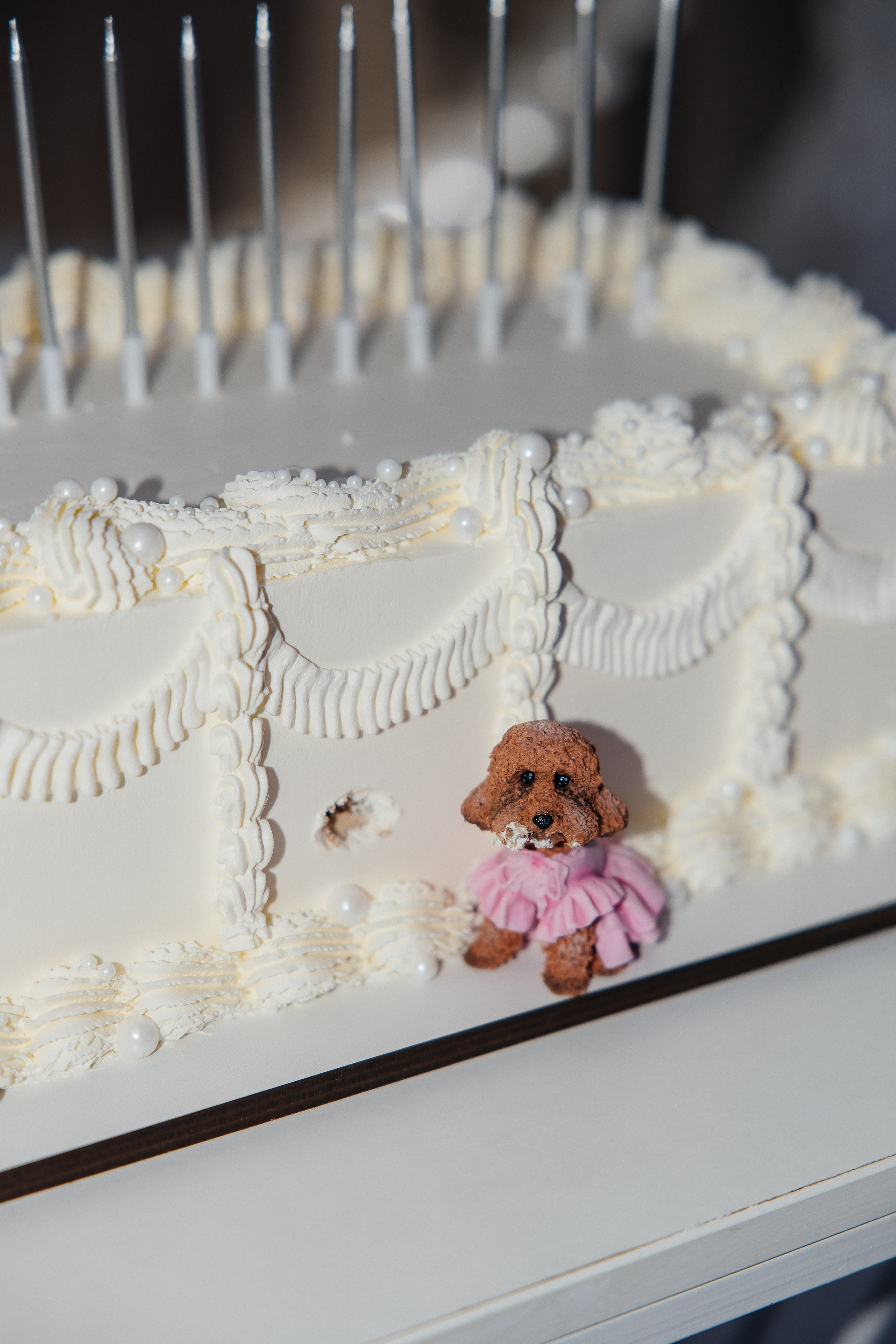 Oleg and Sofia. Весільний фотограф Любов Шарко Черкаси