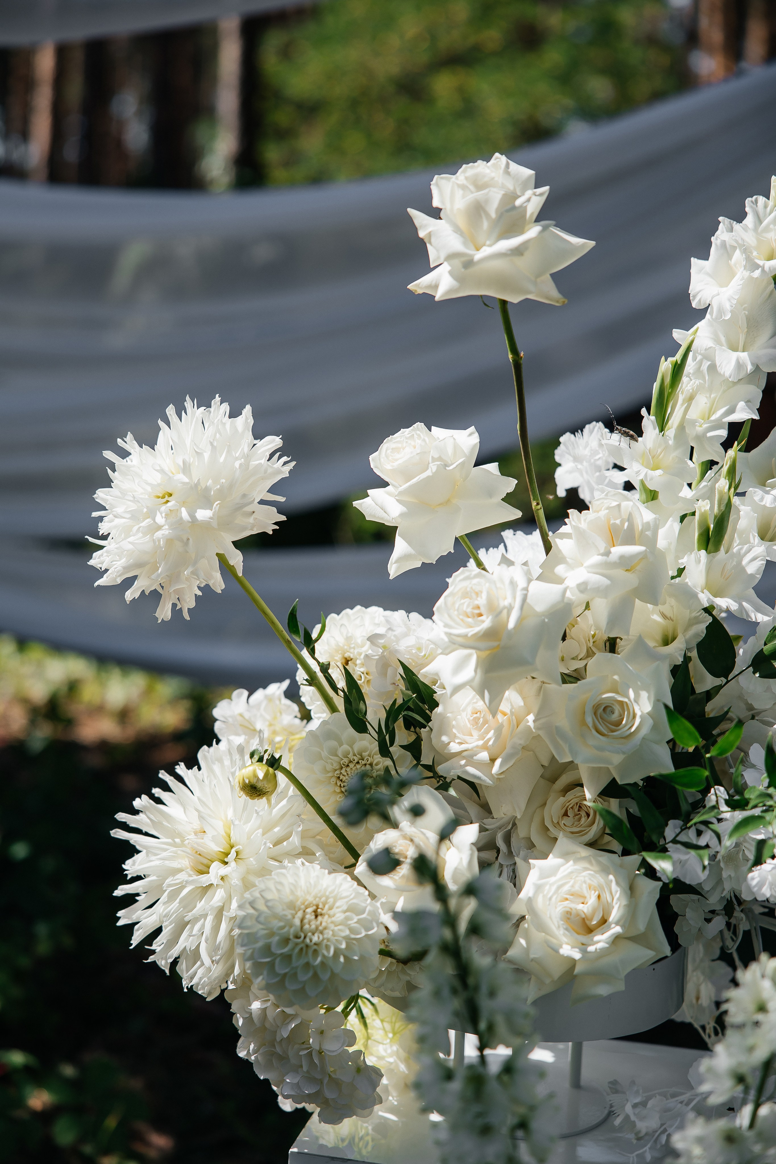 I & A. Весільний фотограф Любов Шарко Черкаси