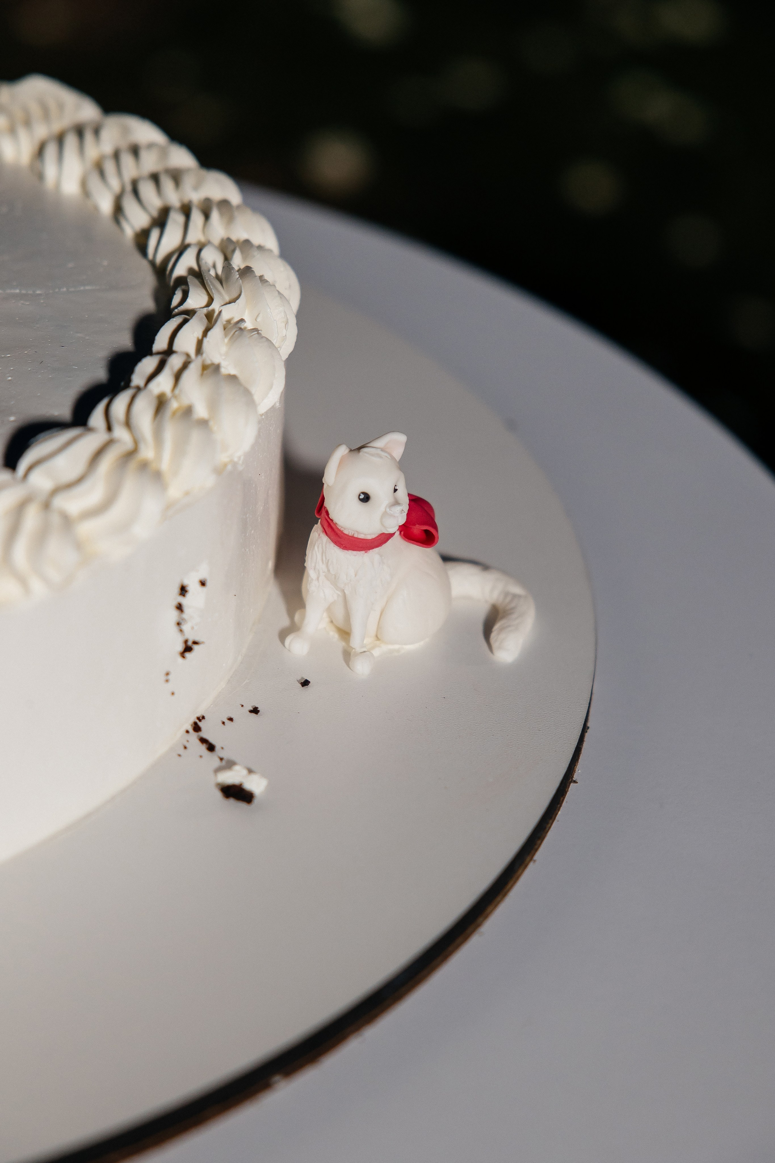 I & A. Весільний фотограф Любов Шарко Черкаси