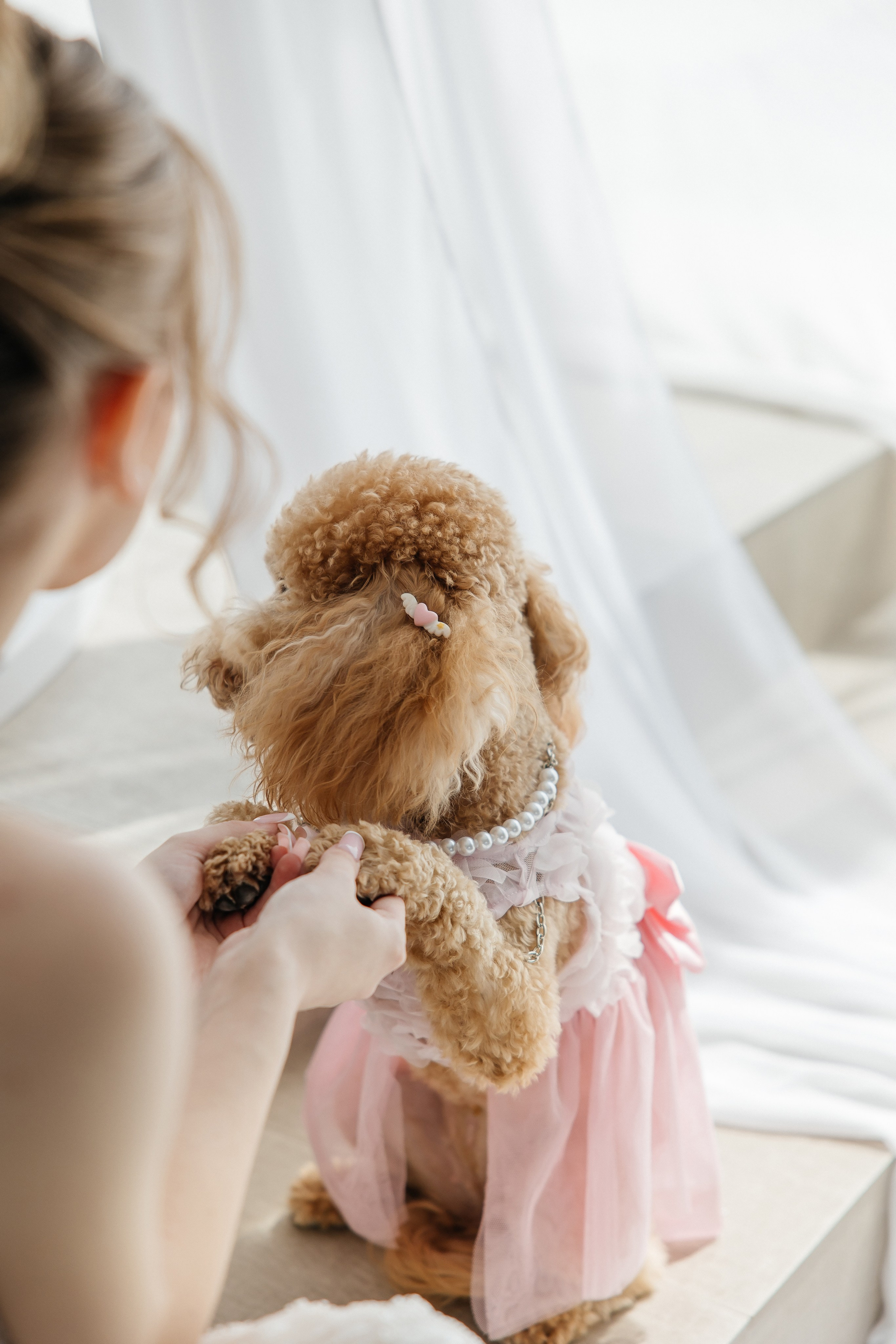 Oleg and Sofia. Весільний фотограф Любов Шарко Черкаси