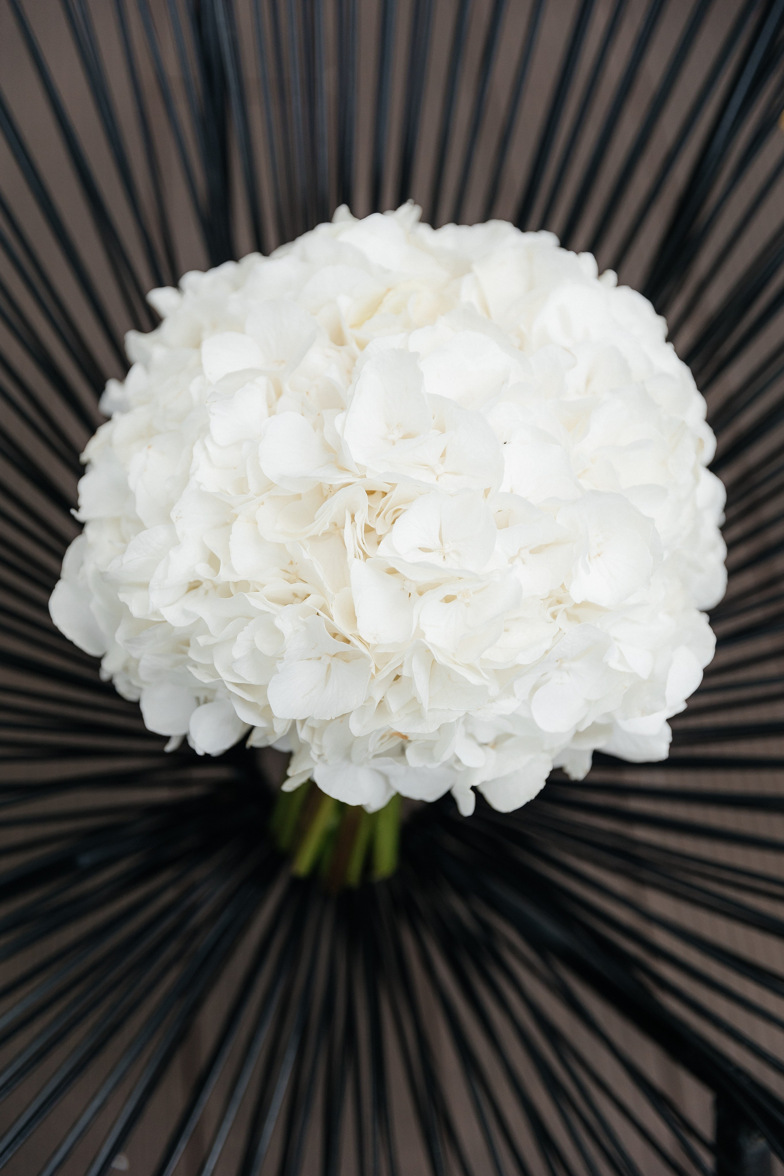 Forever together. Весільний фотограф Любов Шарко Черкаси