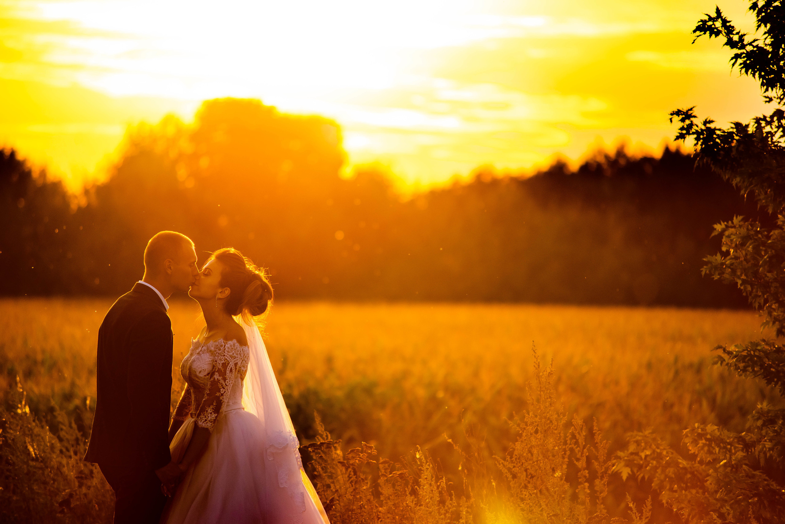 Свадьба. Свадебный и семейный фотограф Сергей Паровик