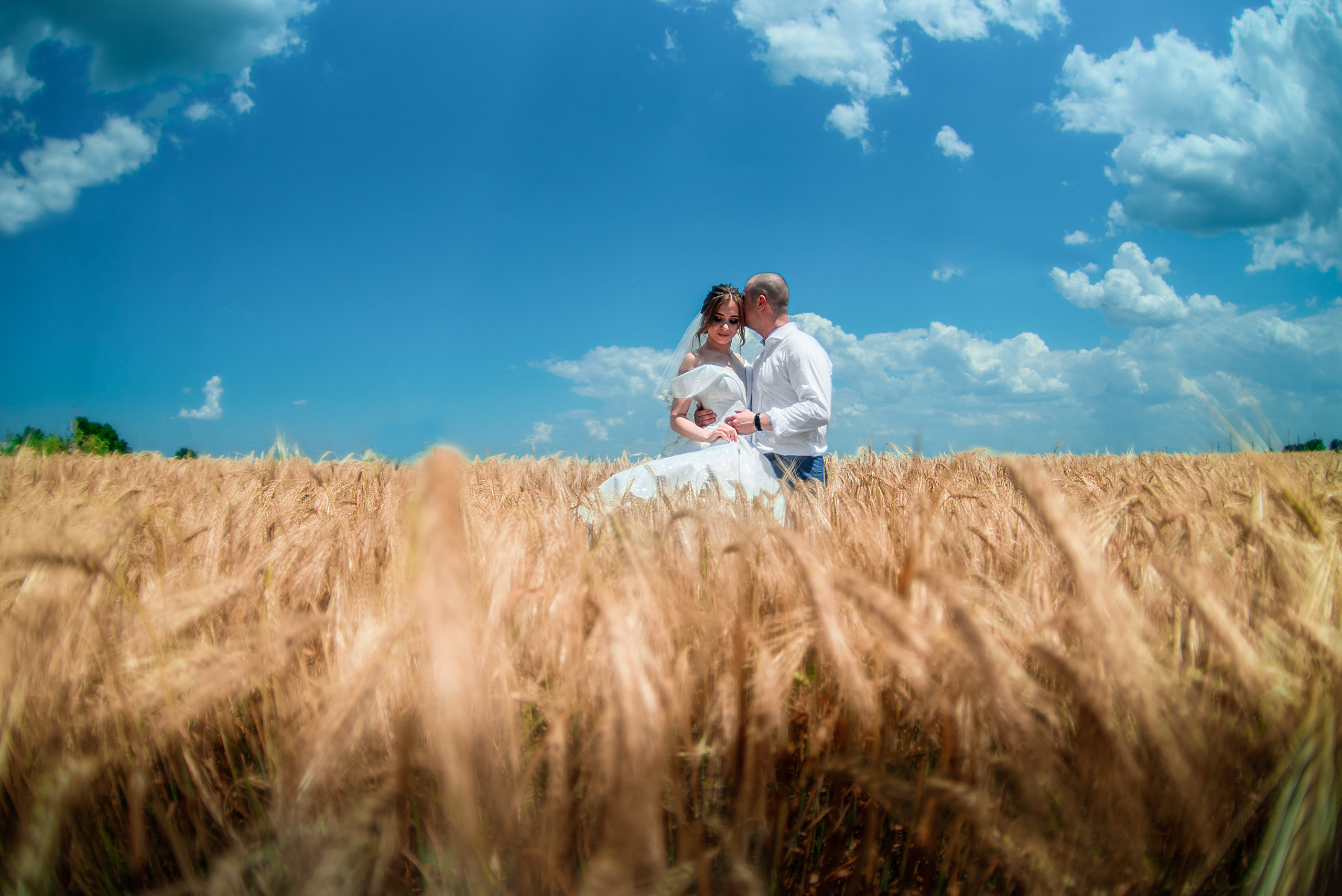 Свадьба. Свадебный и семейный фотограф Сергей Паровик