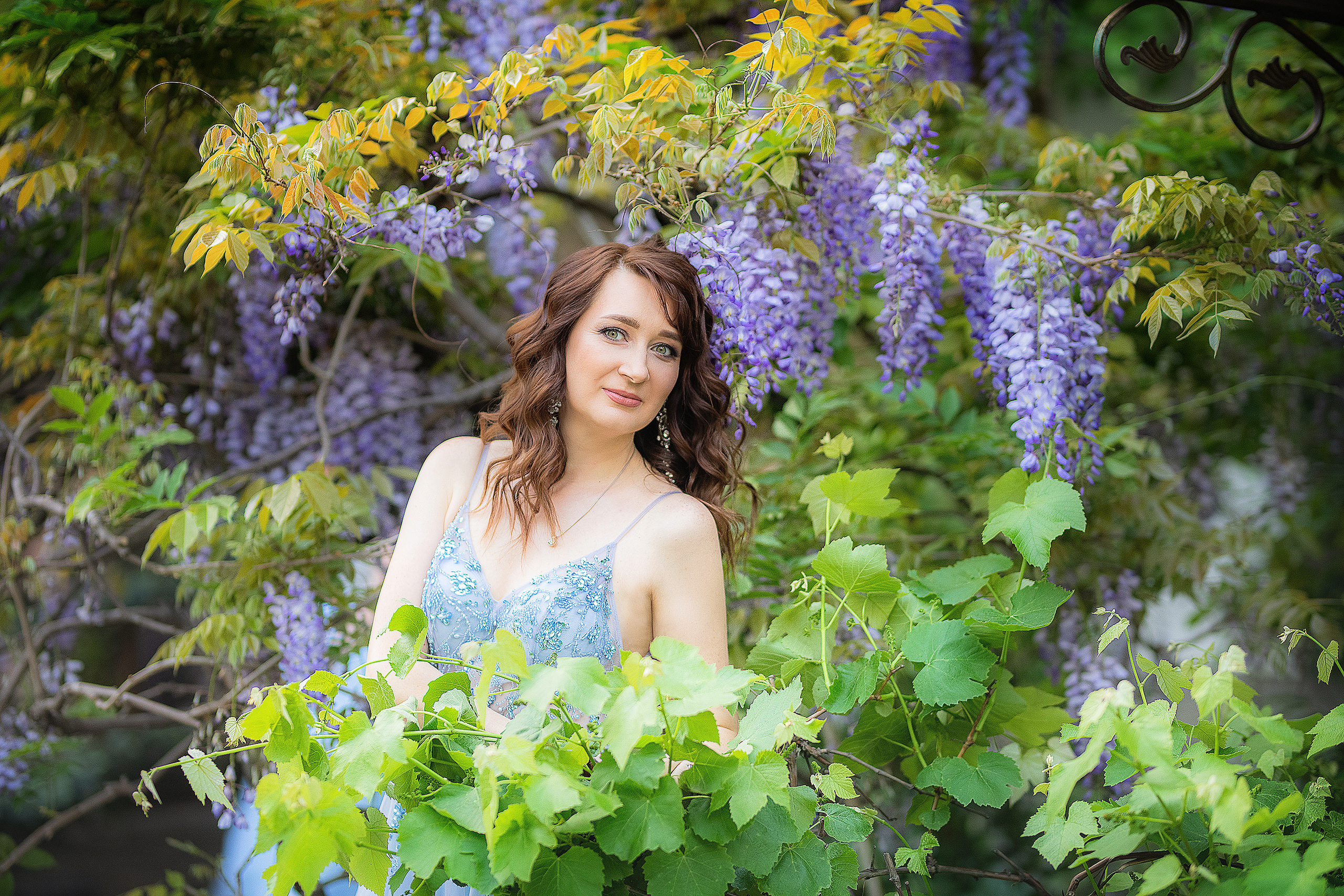 Фотосессия в глицинии. Фотограф в Запоріжжі та Європі