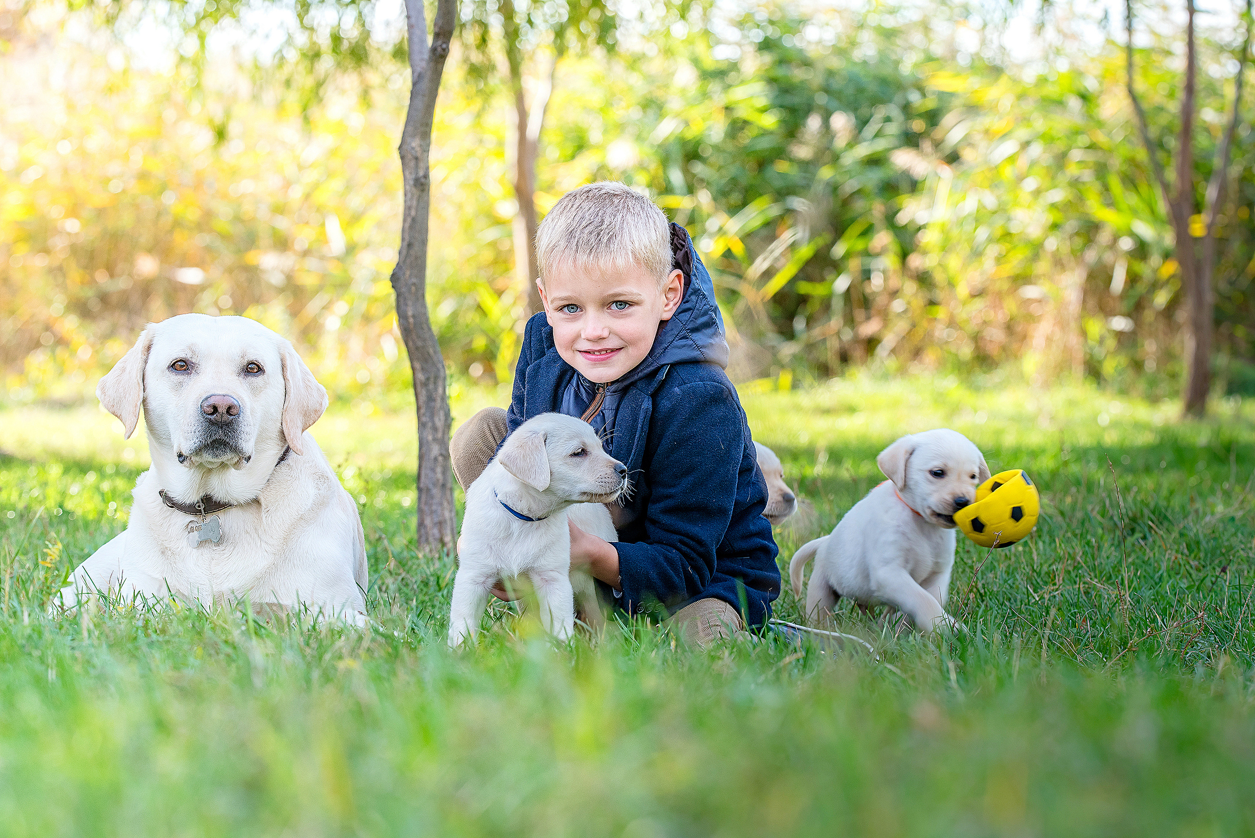 мальчик со щенками