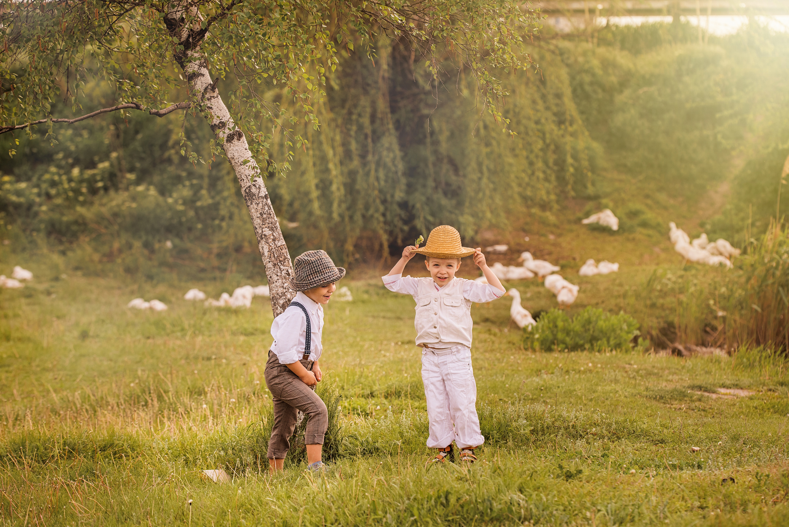друзья мальчишки с гусями