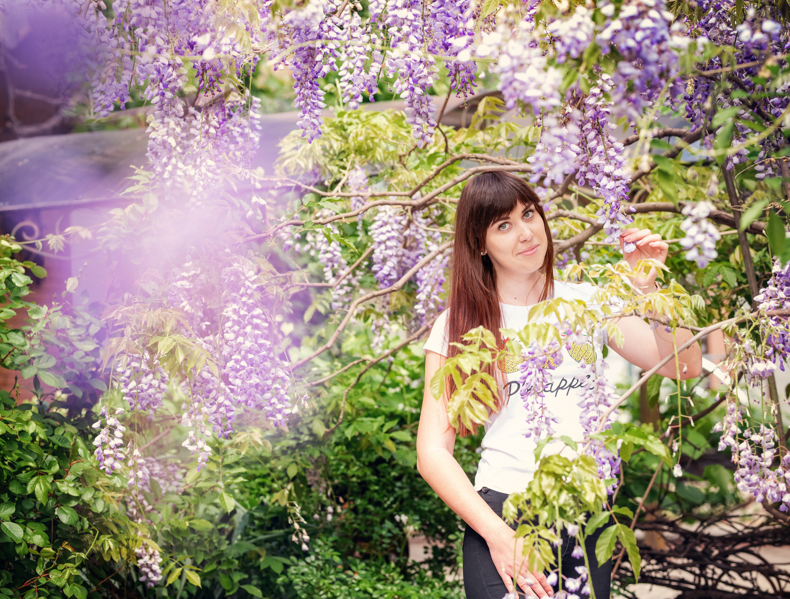 Фотосессия в глицинии. Фотограф в Запоріжжі та Європі