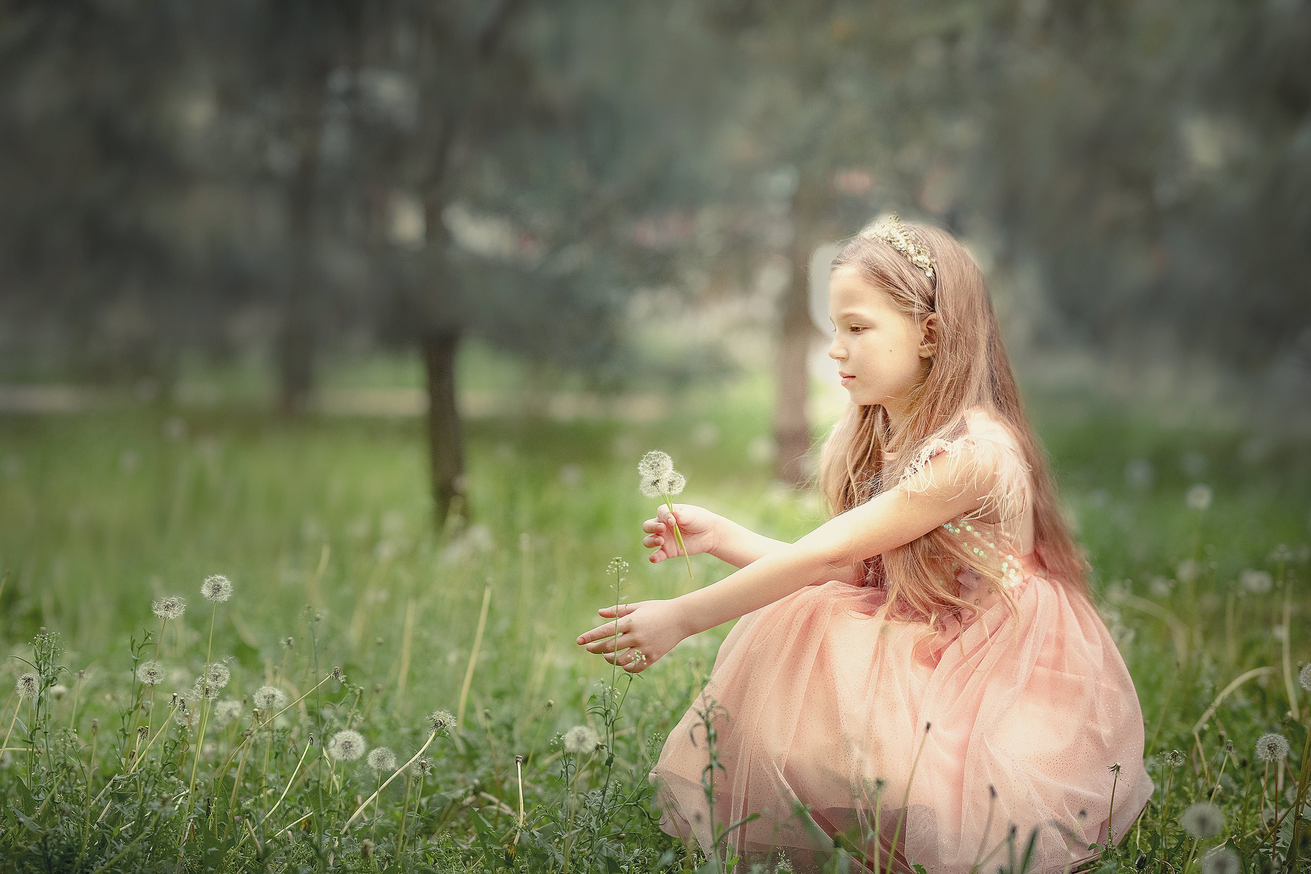 Фотосессия в глицинии. Фотограф в Запоріжжі та Європі