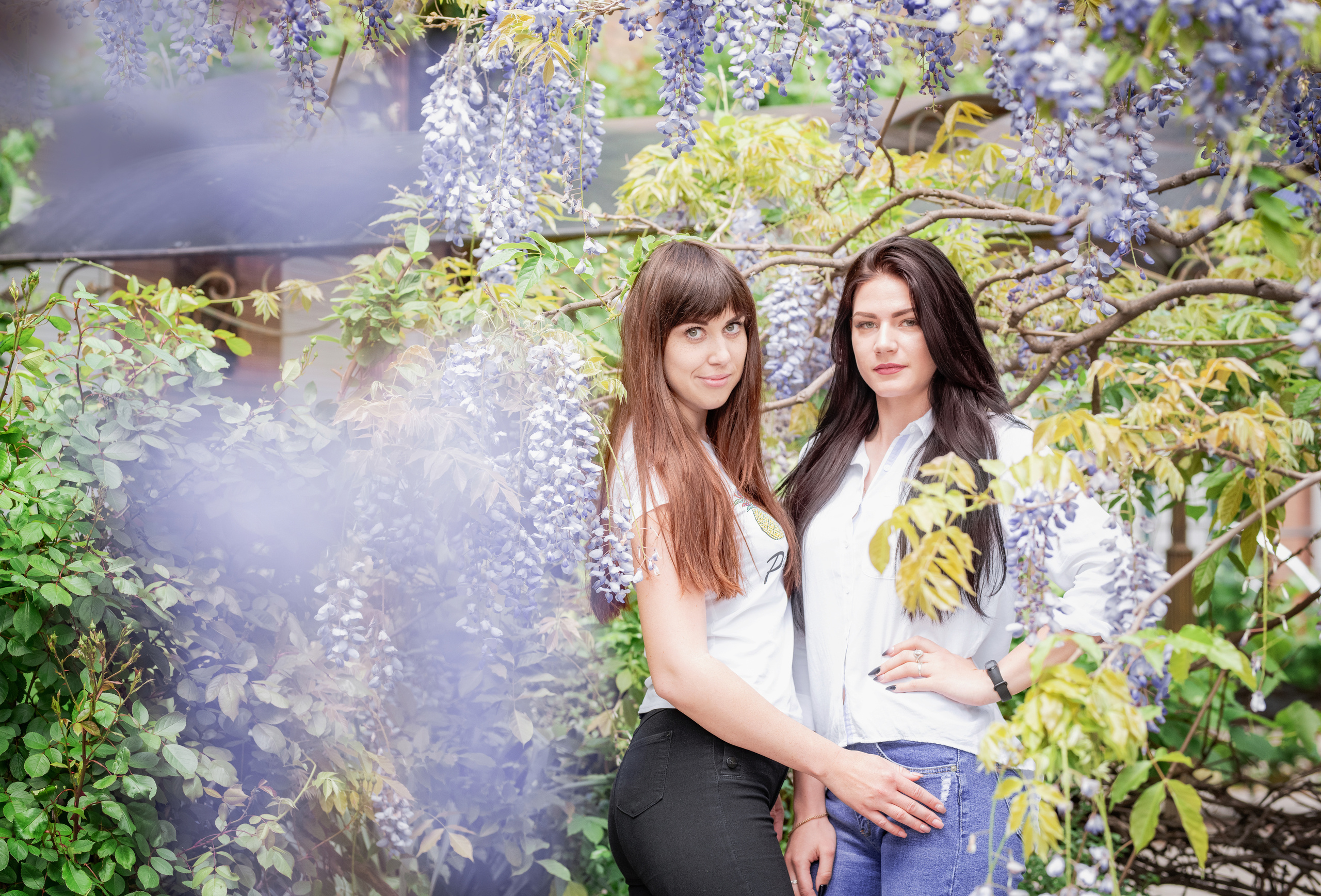 Фотосессия в глицинии. Фотограф в Запоріжжі та Європі