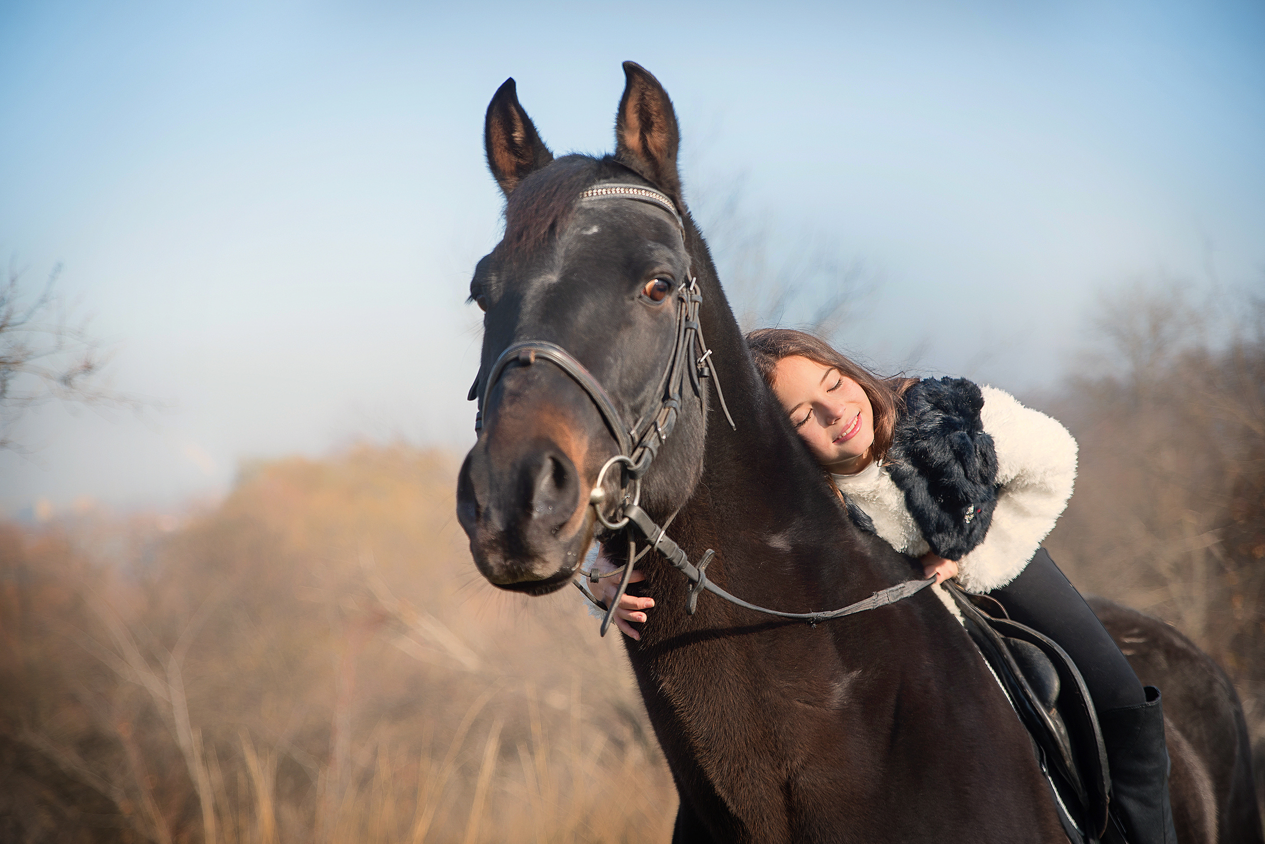 девочка на лошади