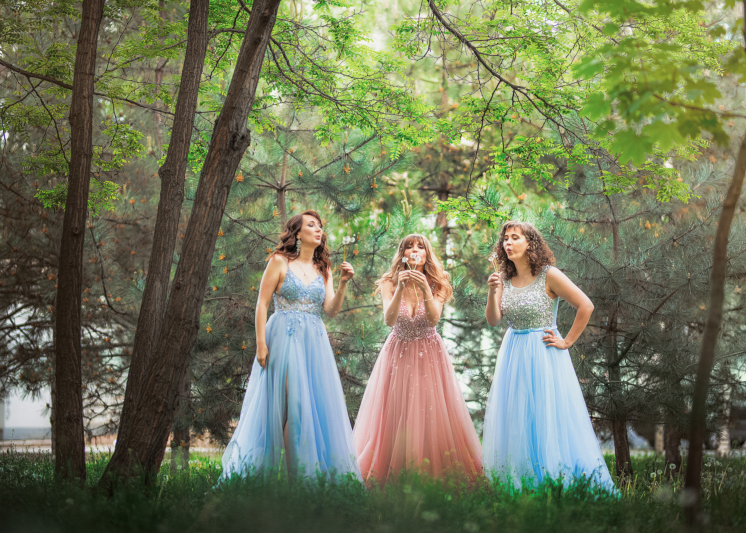 Фотосессия в глицинии. Фотограф в Запоріжжі та Європі