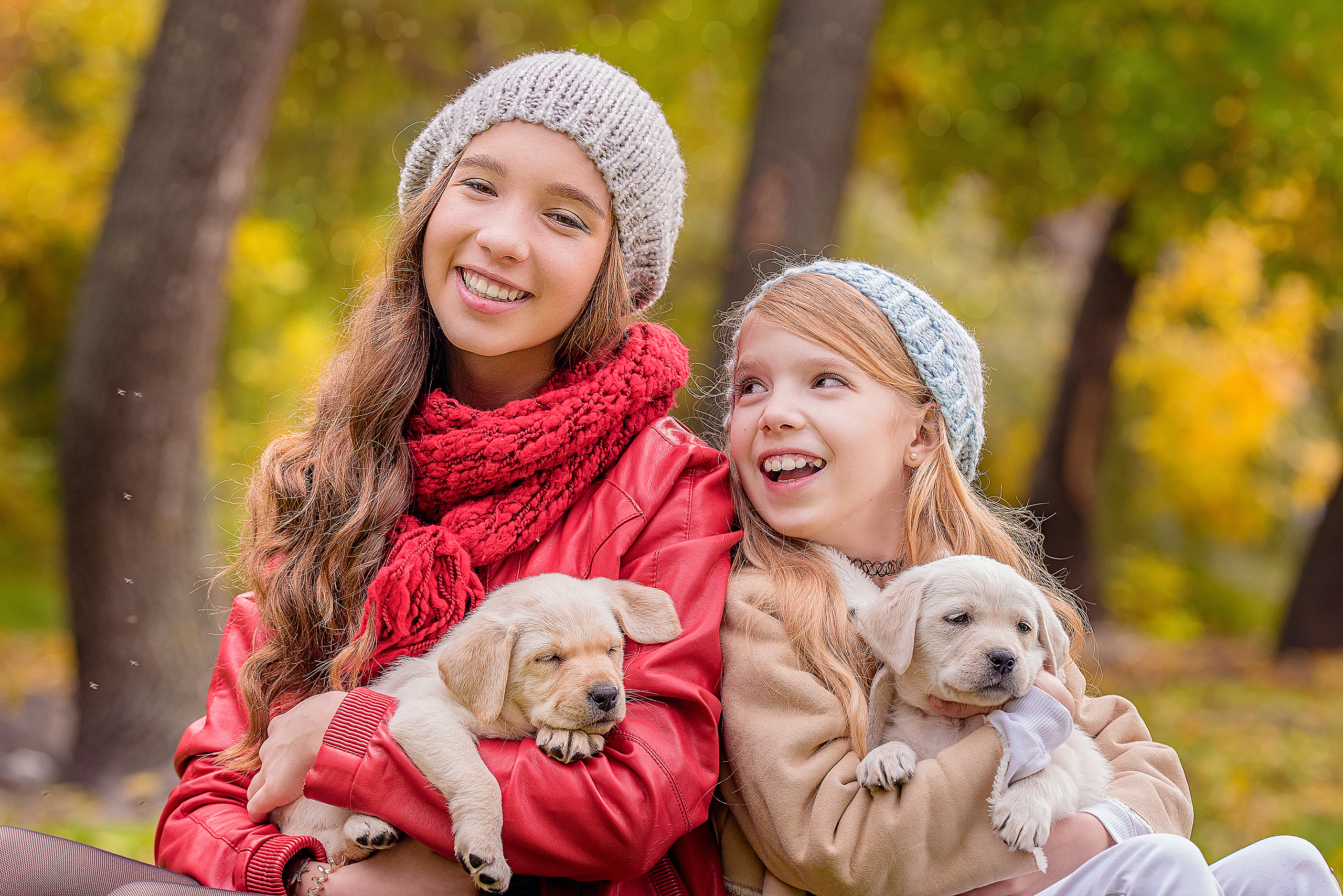 две сестры и два щенка