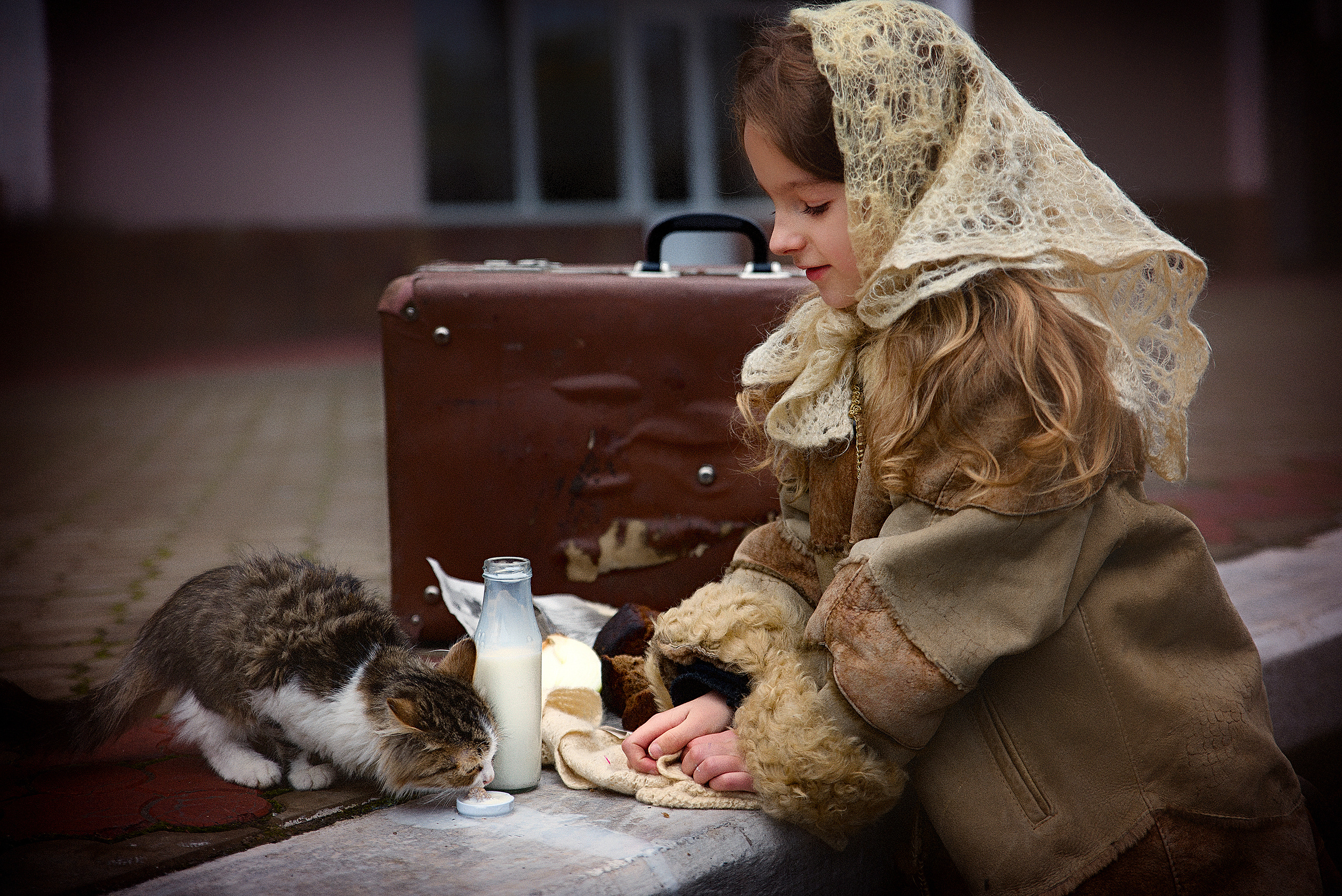 девочка кормит котенка