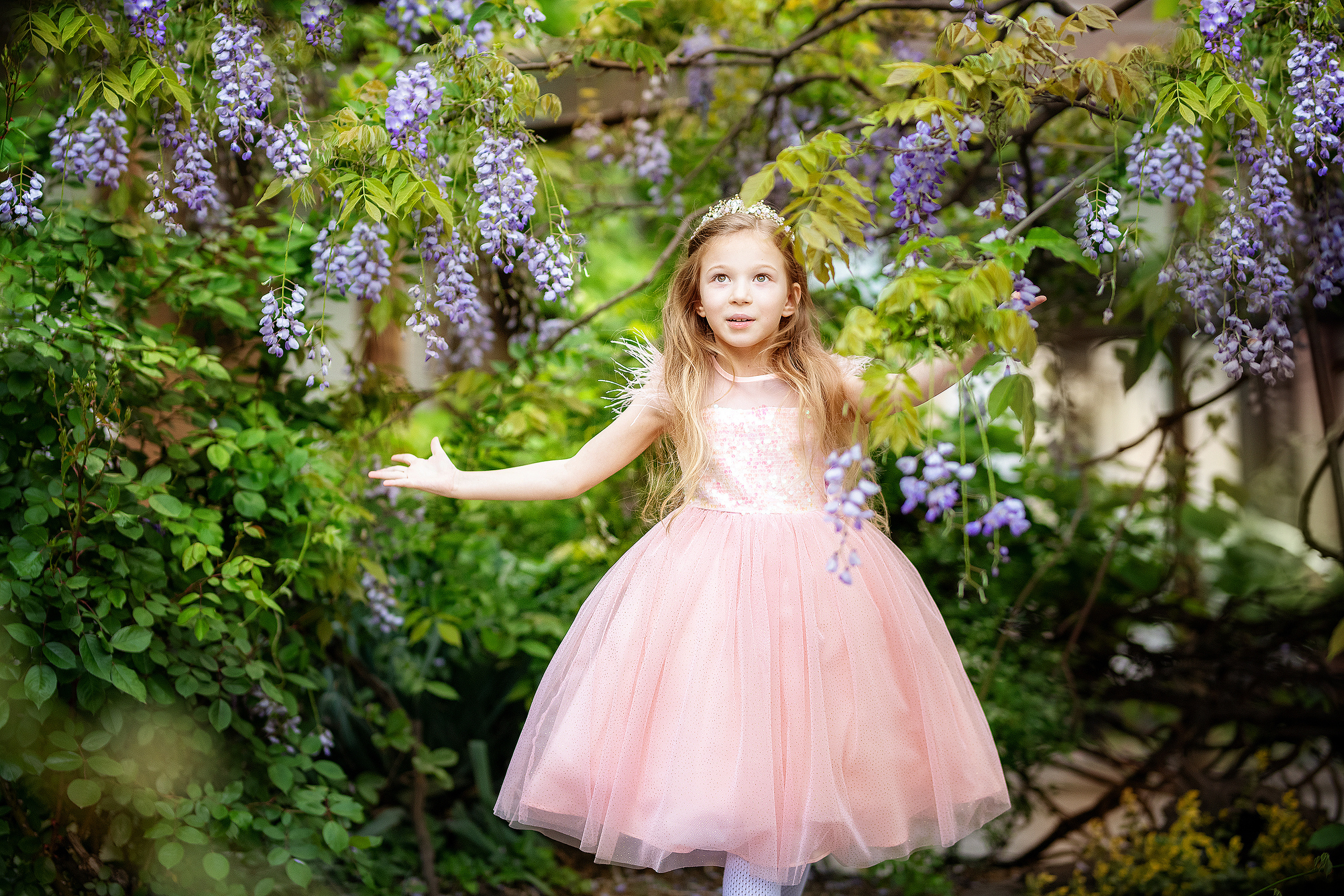 Фотосессия в глицинии. Фотограф в Запоріжжі та Європі