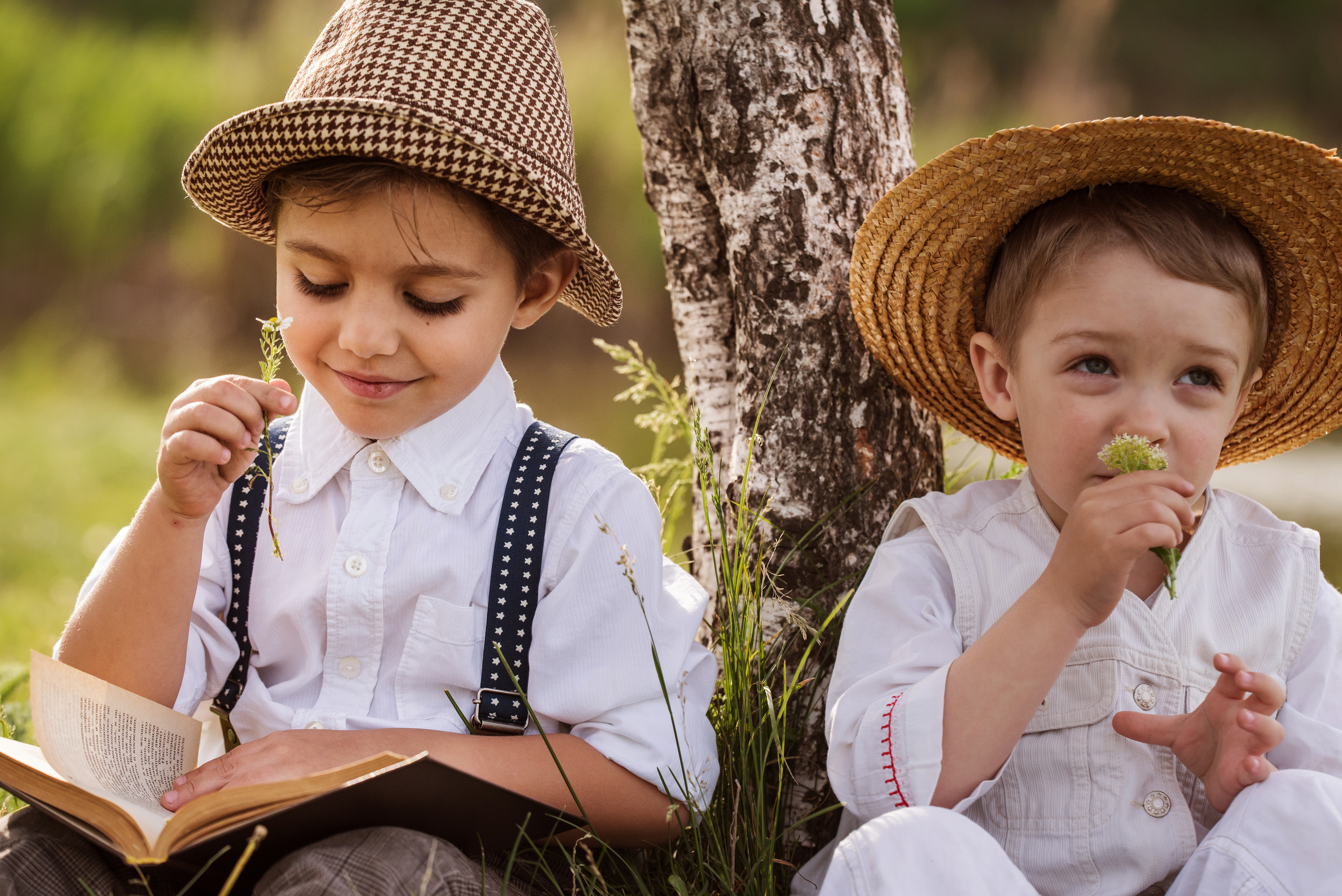 книга с ромашкой и лучший друг 