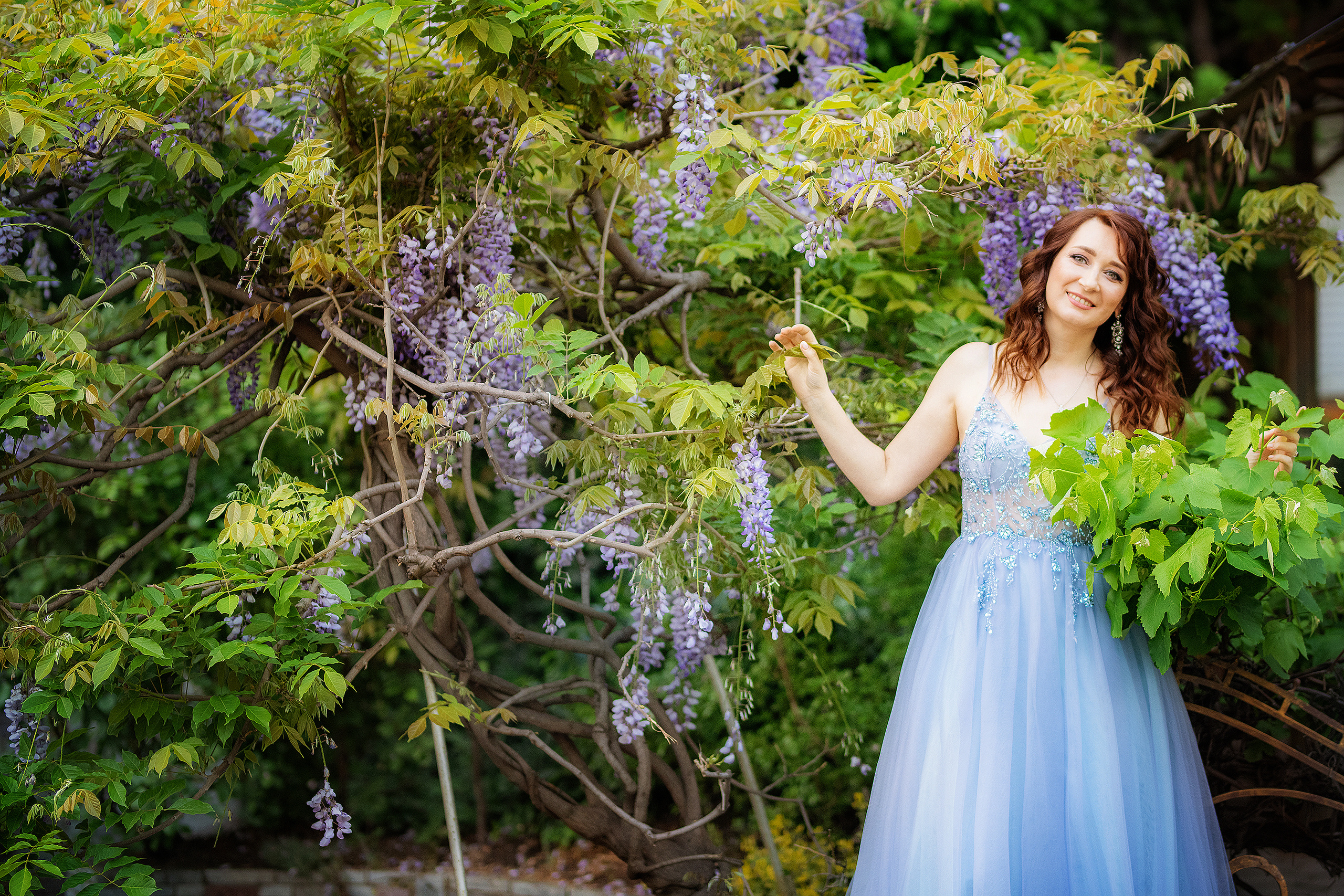 Фотосессия в глицинии. Фотограф в Запоріжжі та Європі