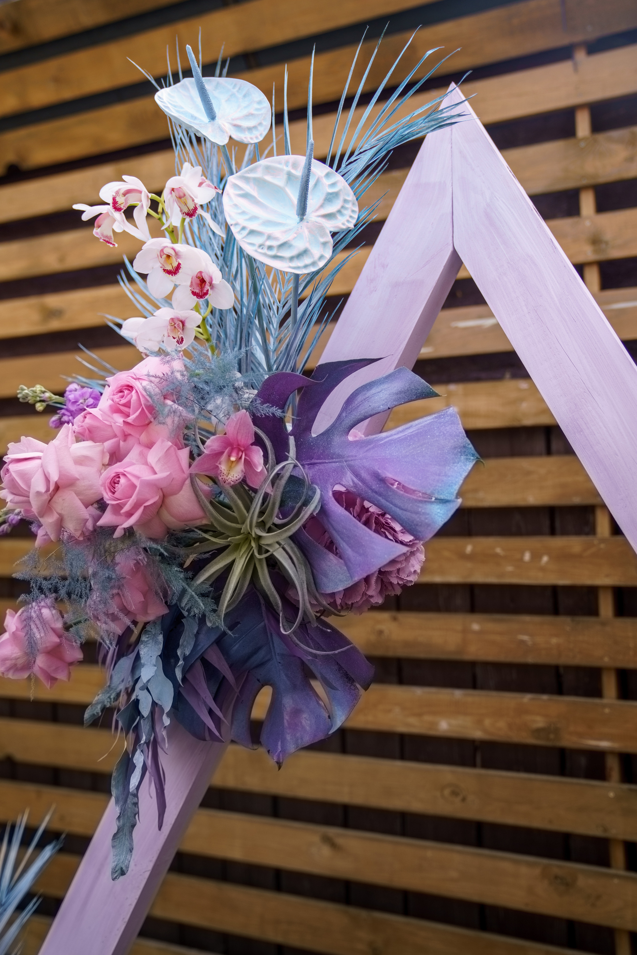 Олег | Каролина