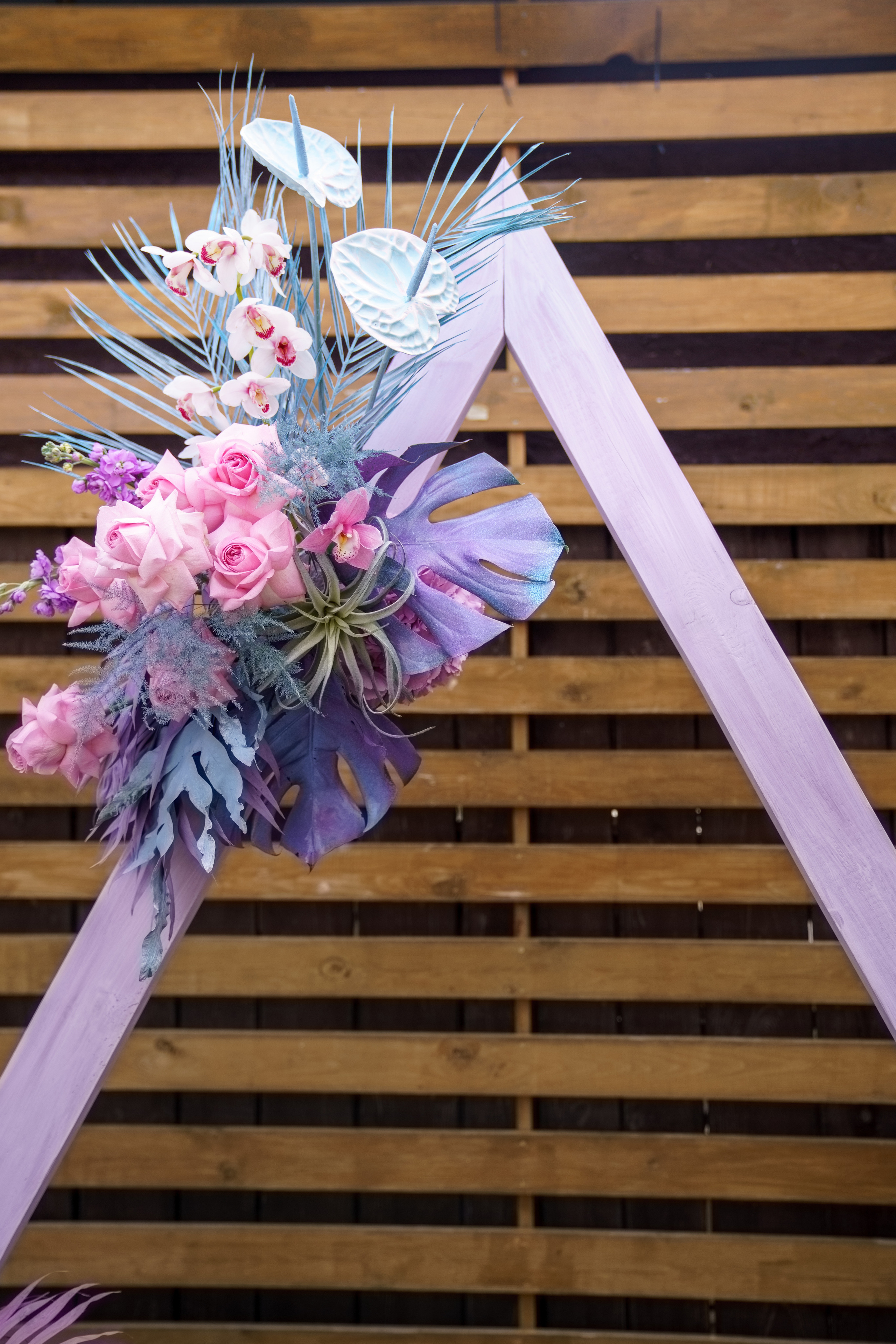 Олег | Каролина