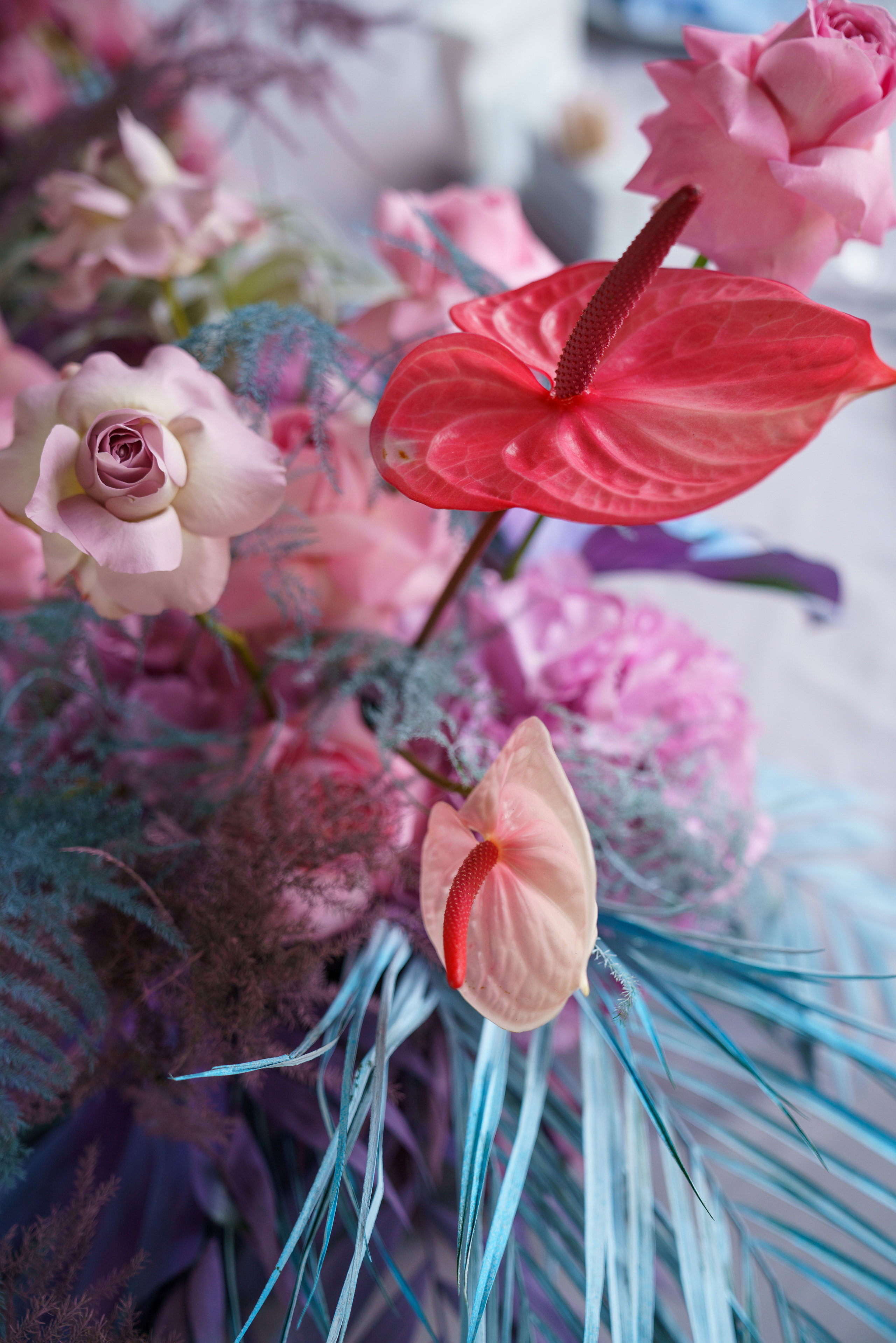 Олег | Каролина