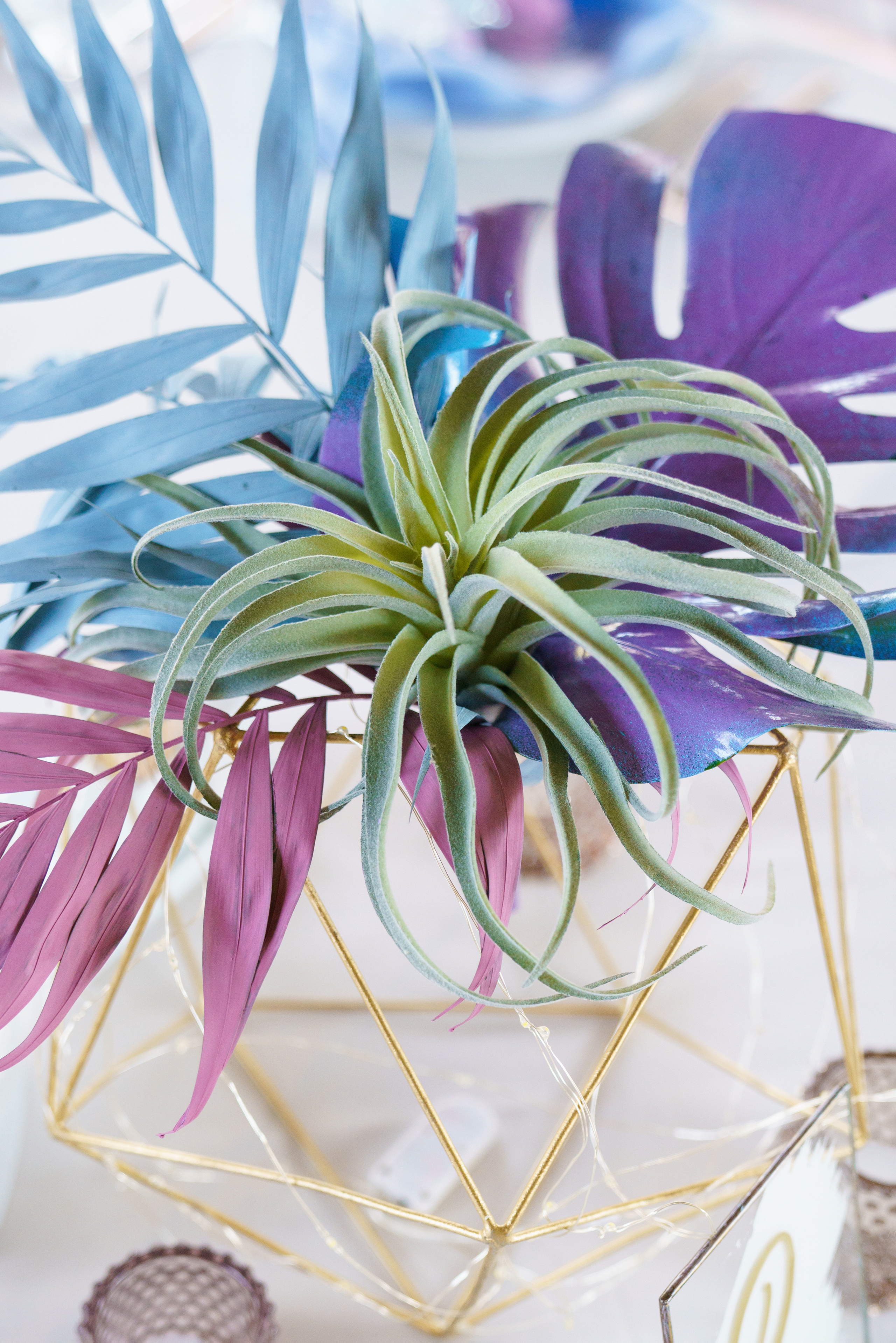 Олег | Каролина