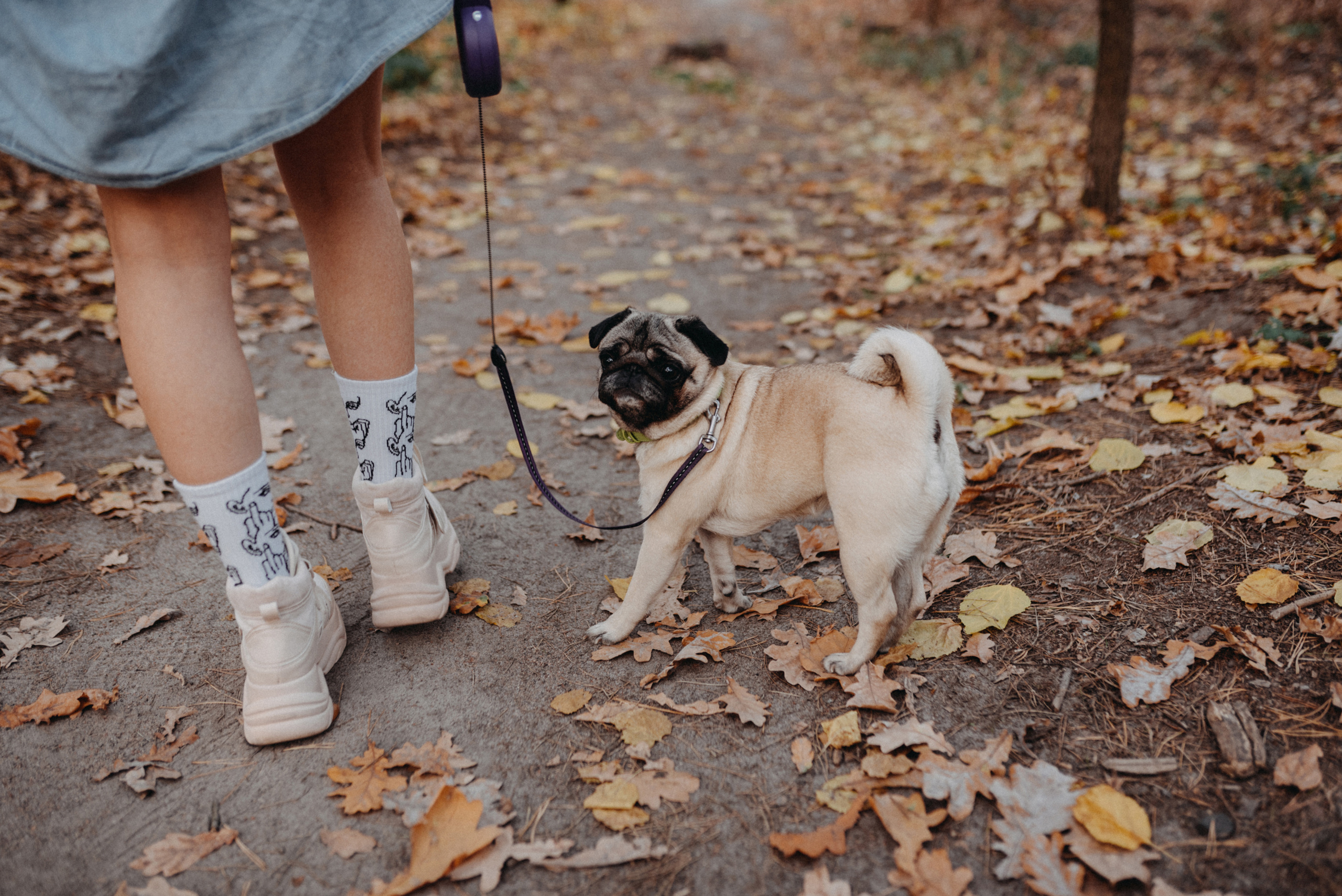 NOVITSKIY.PHOTO Весільний і сімейний фотограф Новіцький Роман