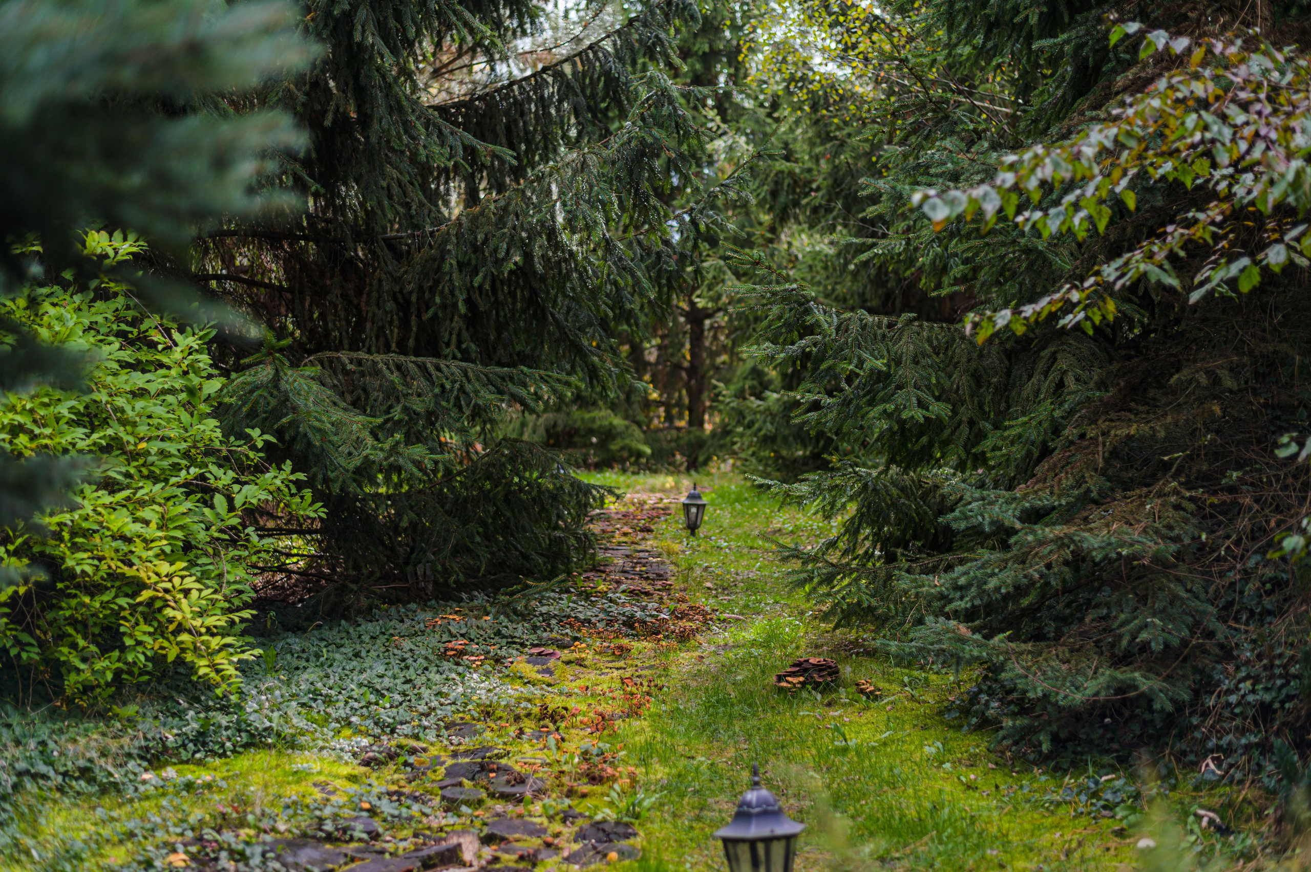 Architecture & Interior. NOVITSKIY.PHOTO Весільний і сімейний фотограф Новіцький Роман