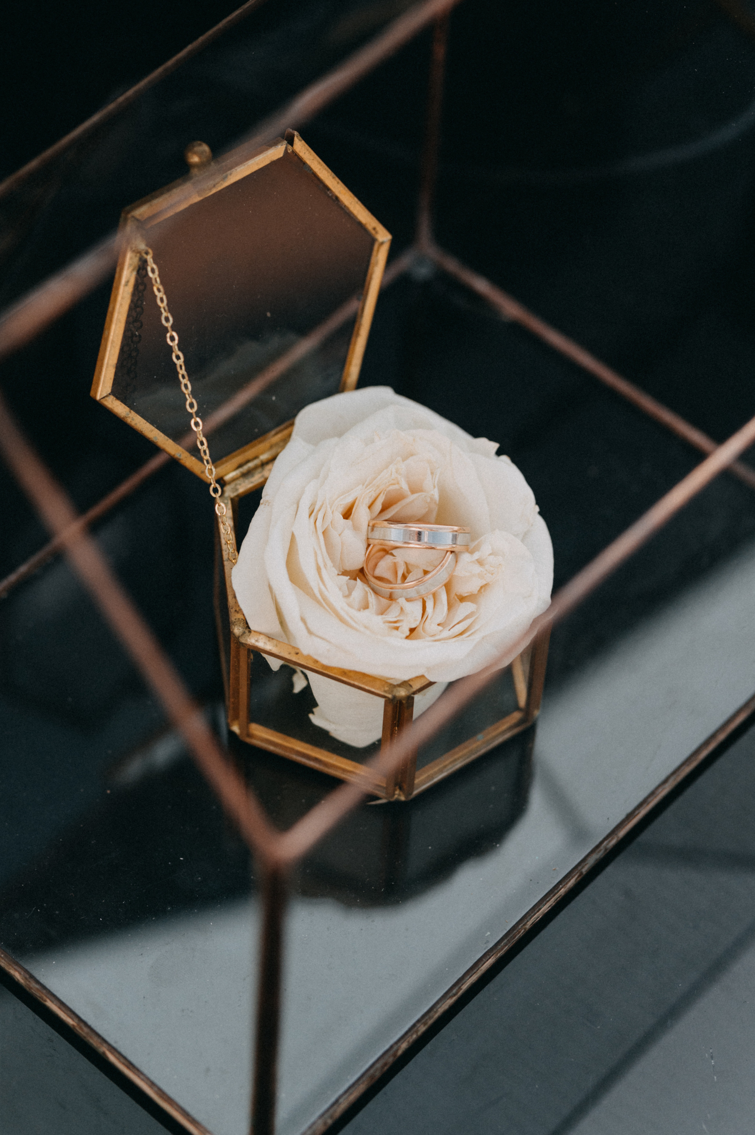 Wedding for Katerina & Pyotr. NOVITSKIY.PHOTO Весільний і сімейний фотограф Новіцький Роман