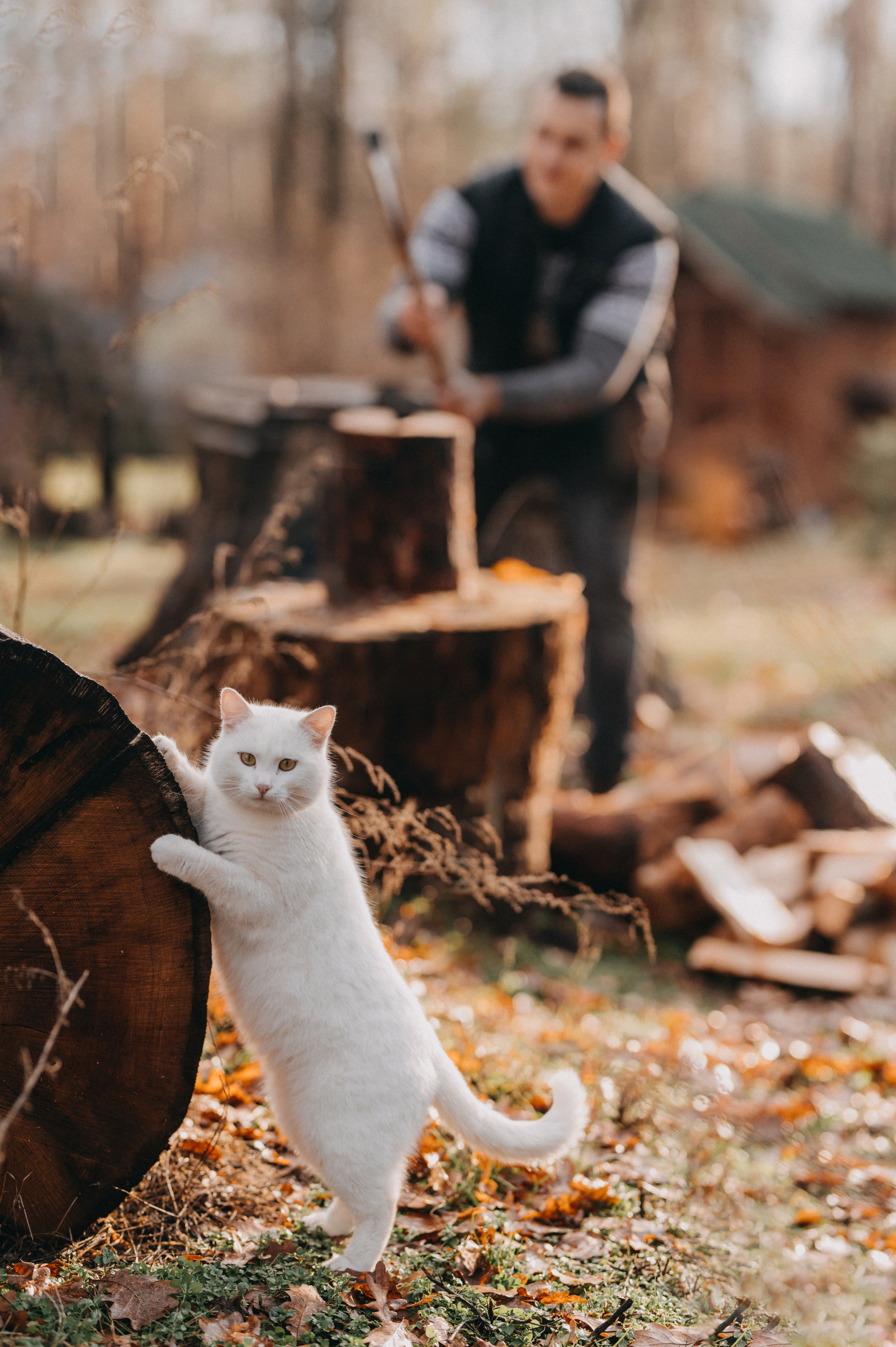 Сommercial. NOVITSKIY.PHOTO Весільний і сімейний фотограф Новіцький Роман