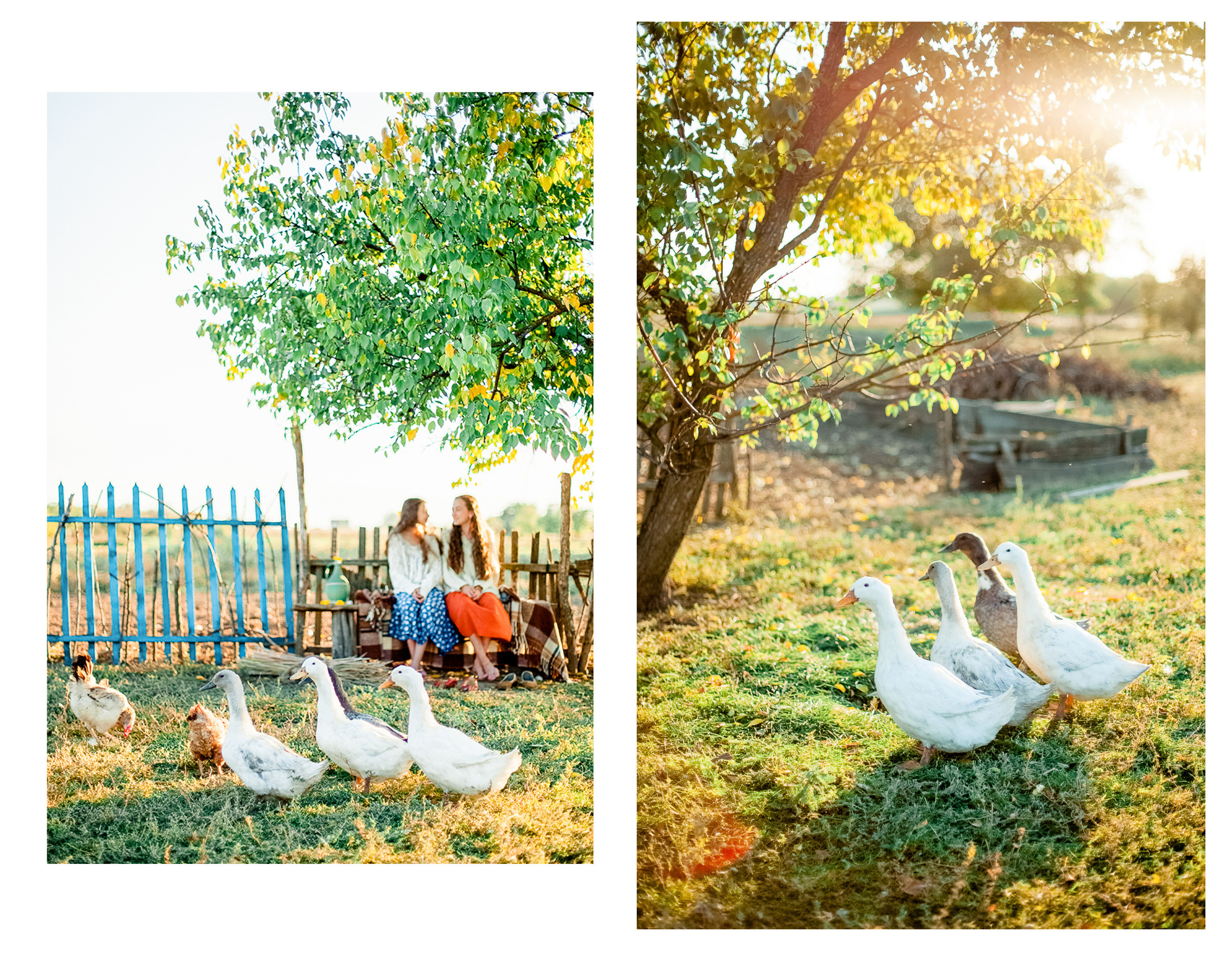 Village story. Diana Di — private photo editor for photographers