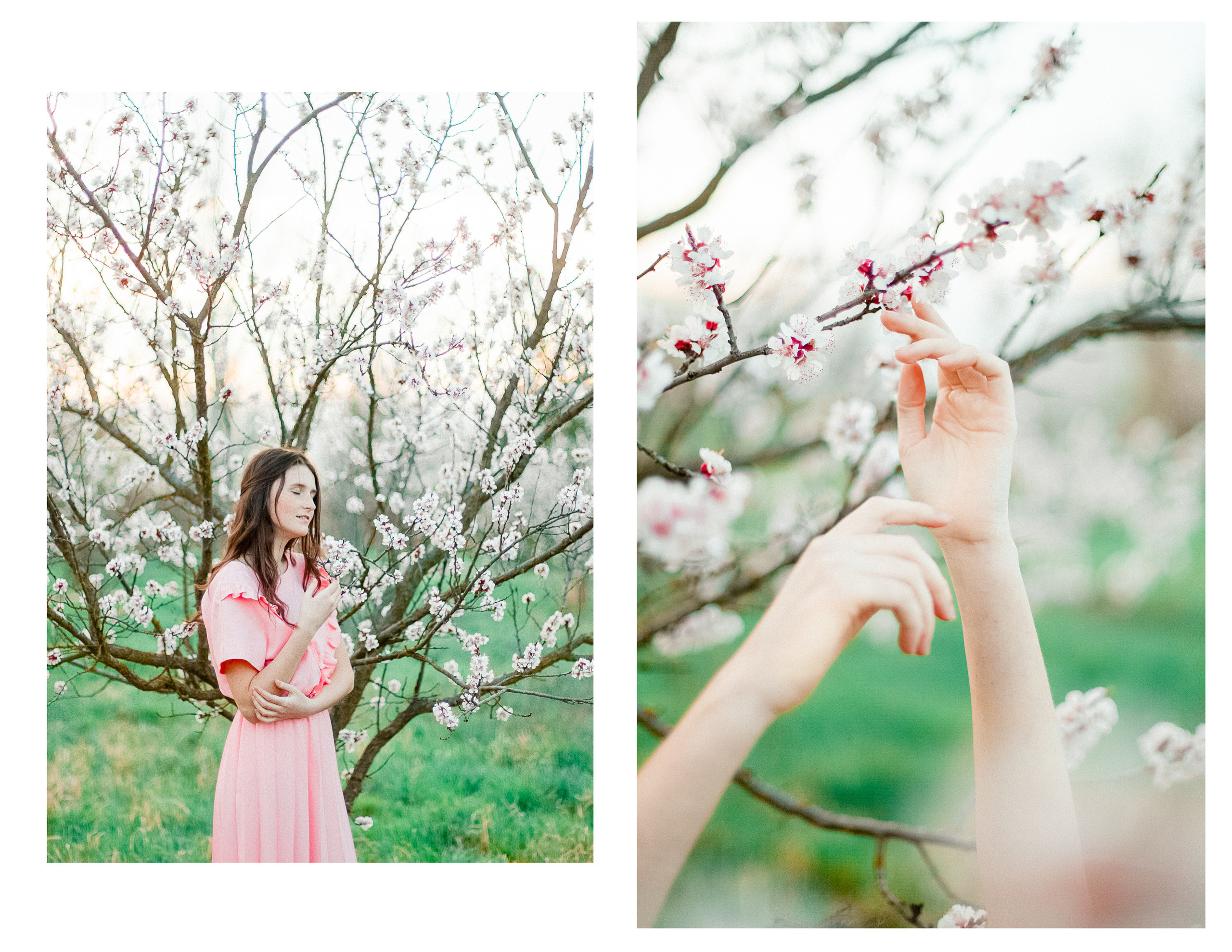 Pure powder. Diana Di — private photo editor for photographers