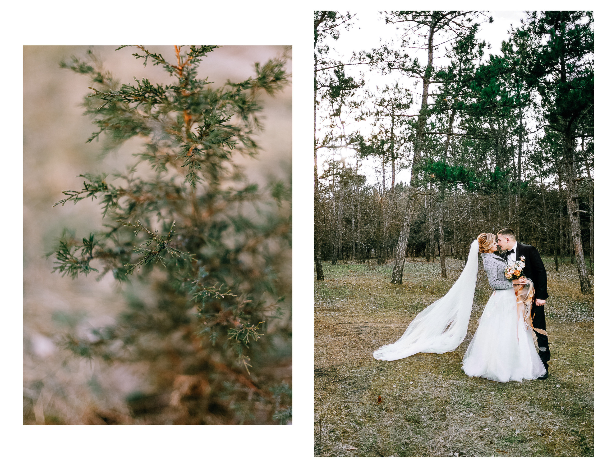 Фотосессия в сосновом лесу. Diana Di — private photo editor for photographers