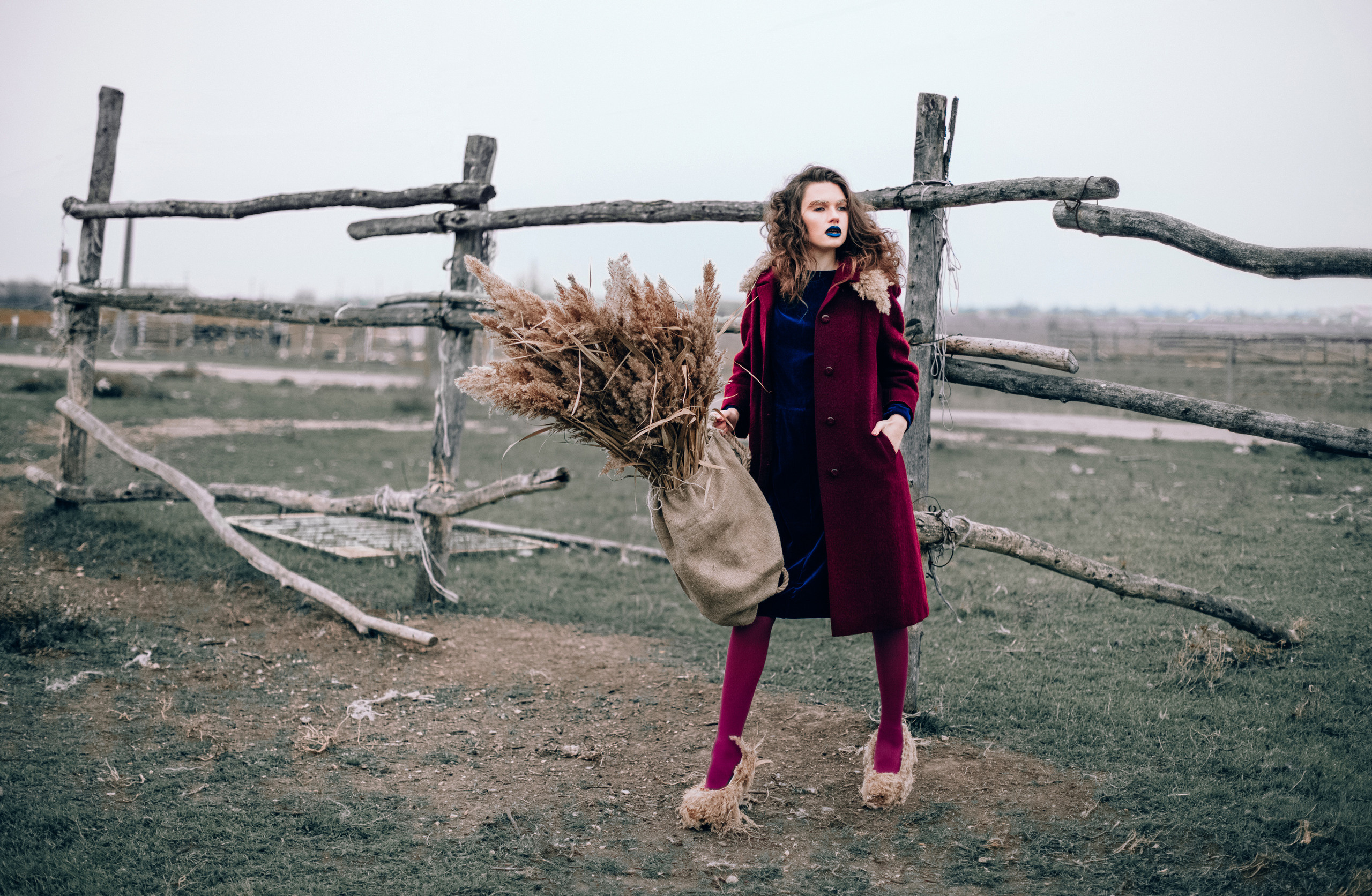 Wild bulrush. Diana Di — private photo editor for photographers