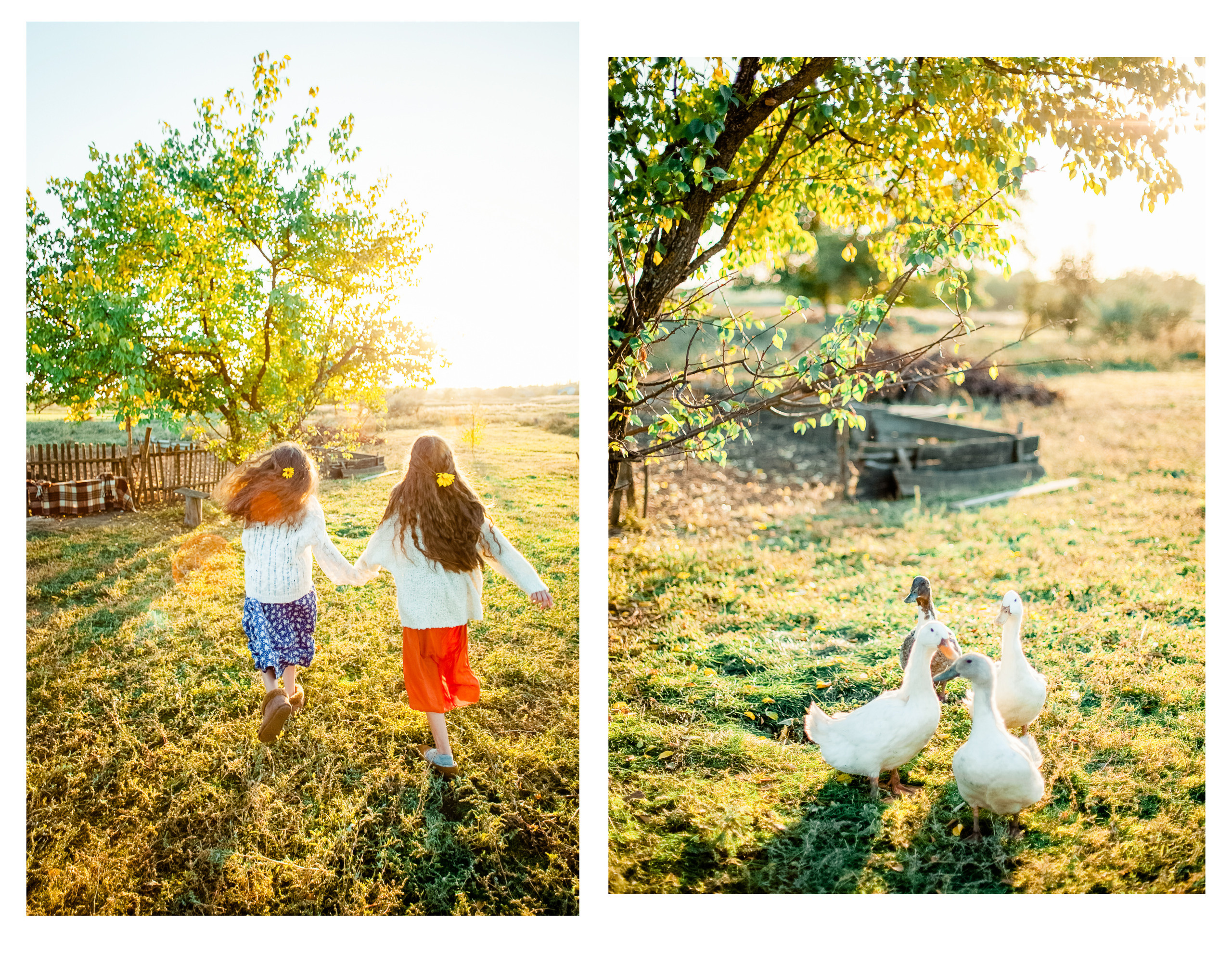 Village story. Diana Di — private photo editor for photographers