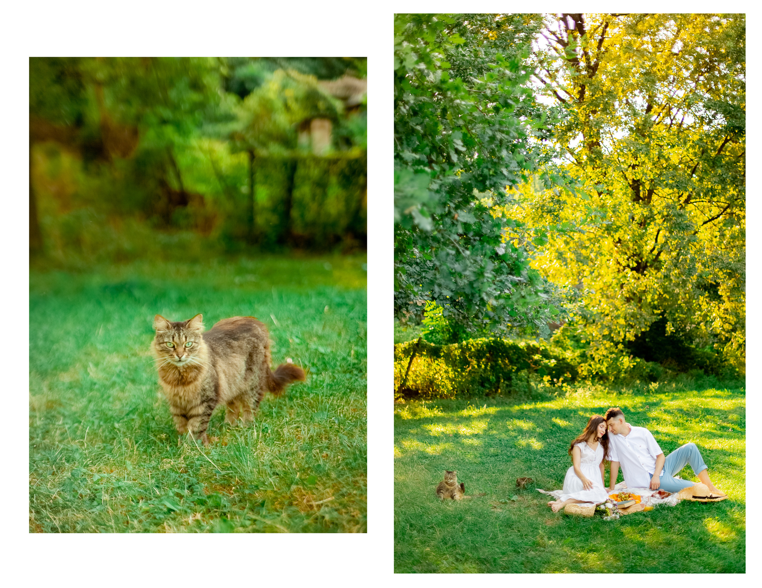 Summer mood. Diana Di — private photo editor for photographers