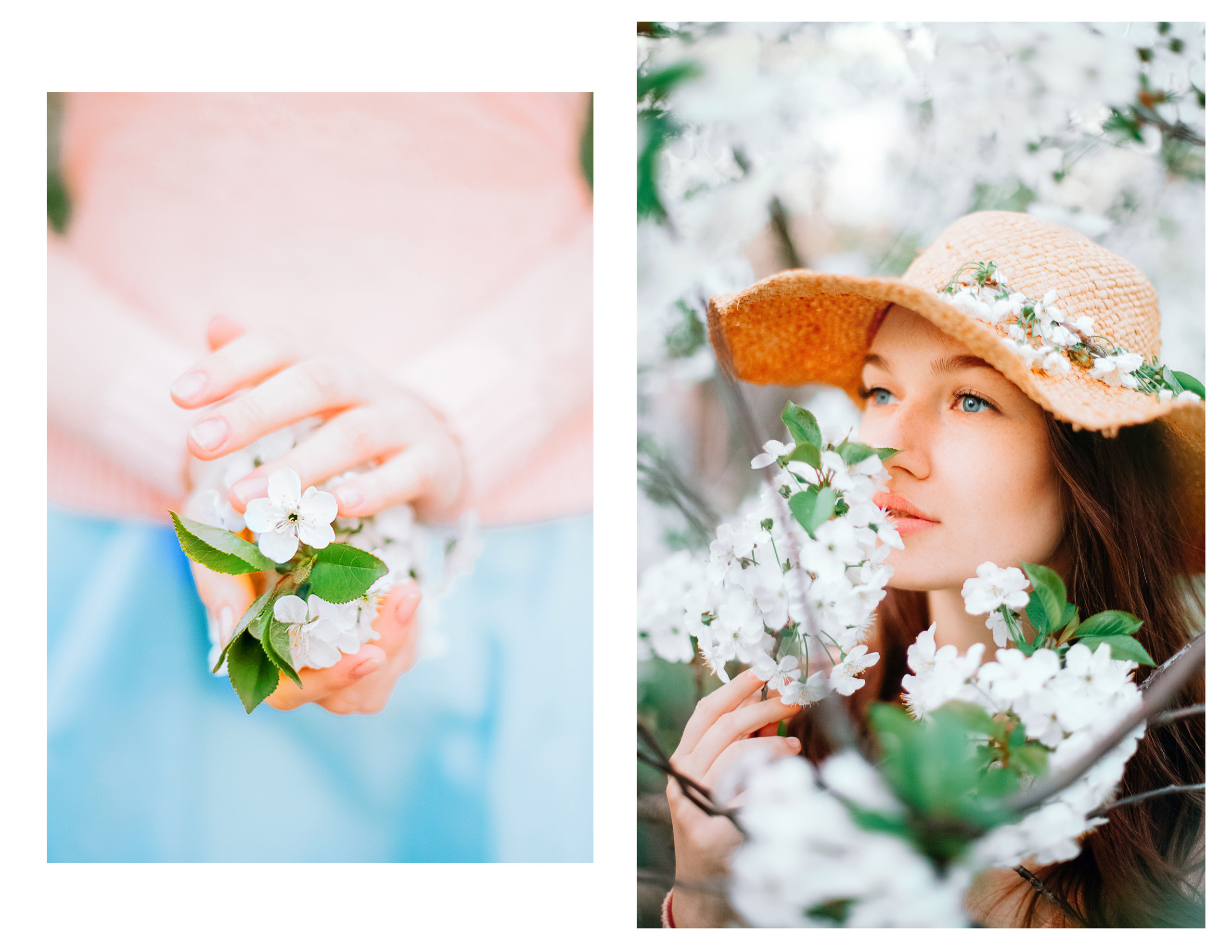 White spring. Diana Di — private photo editor for photographers