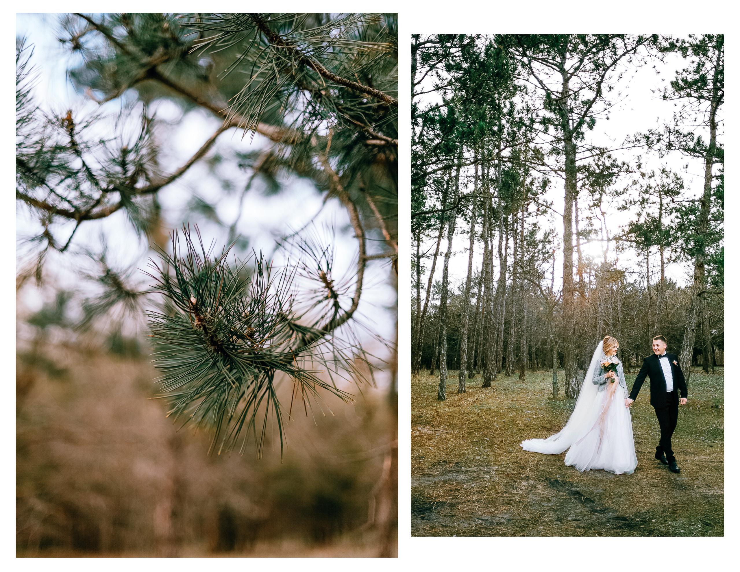 Фотосессия в сосновом лесу. Diana Di — private photo editor for photographers