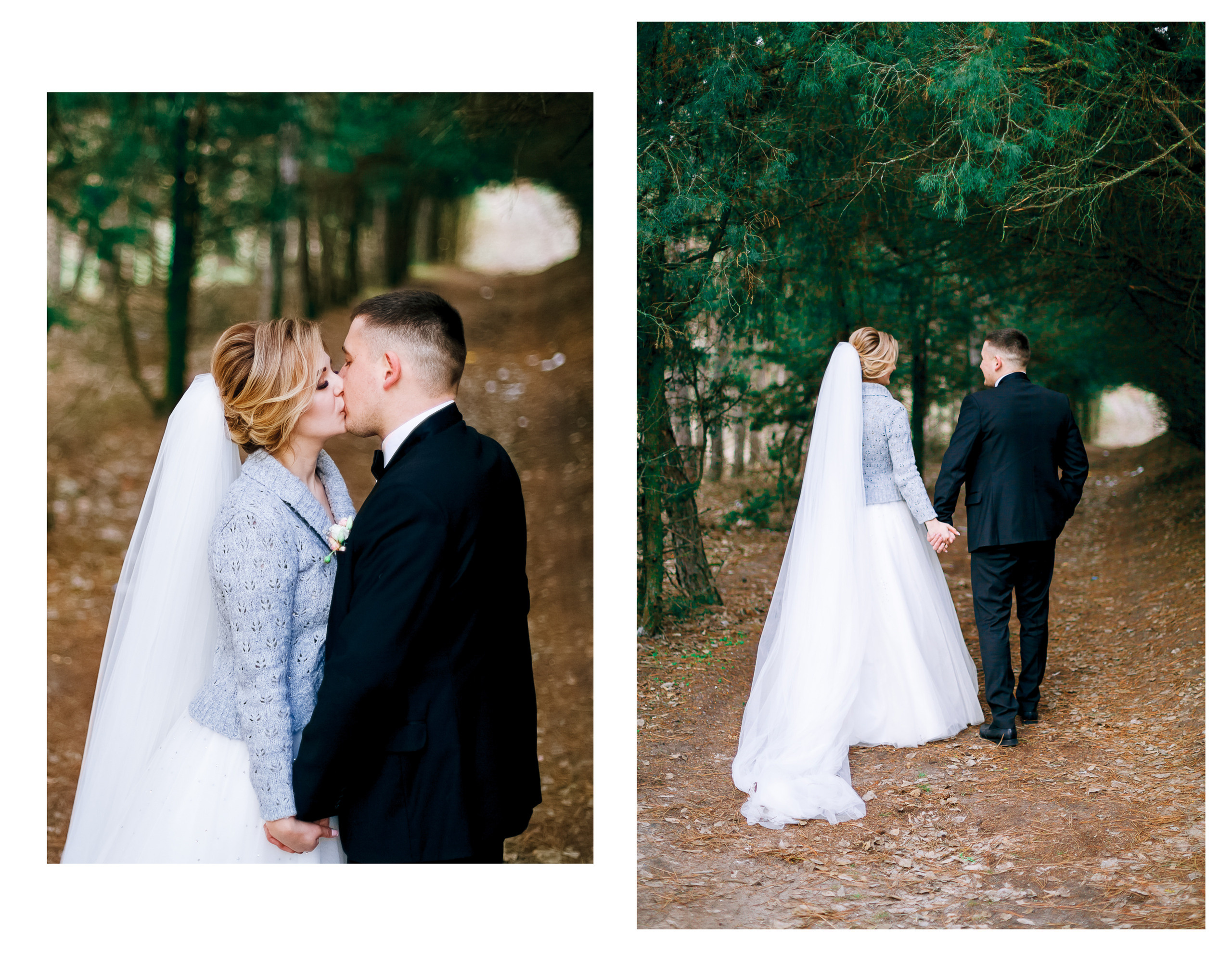 Фотосессия в сосновом лесу. Diana Di — private photo editor for photographers