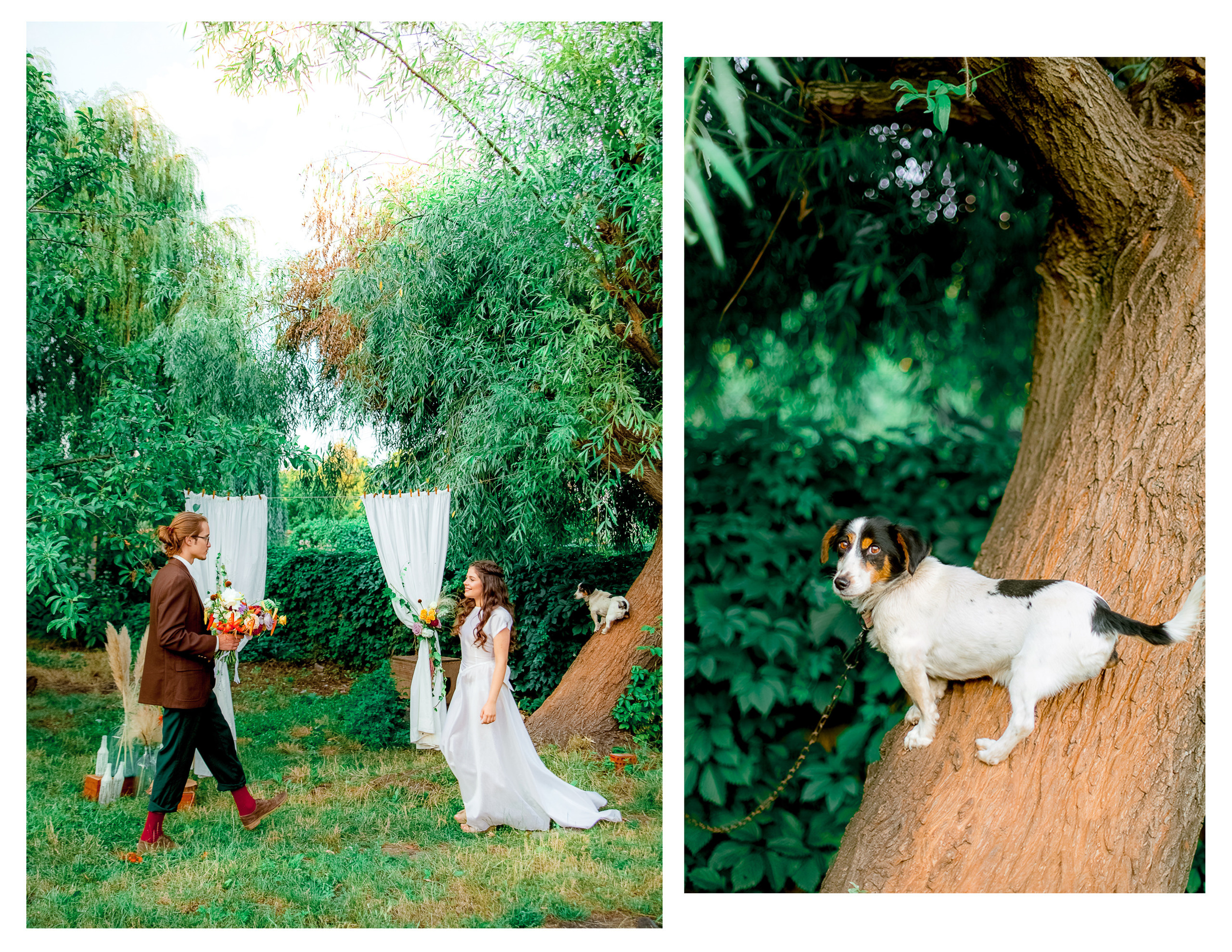 One day, one love. Diana Di — private photo editor for photographers