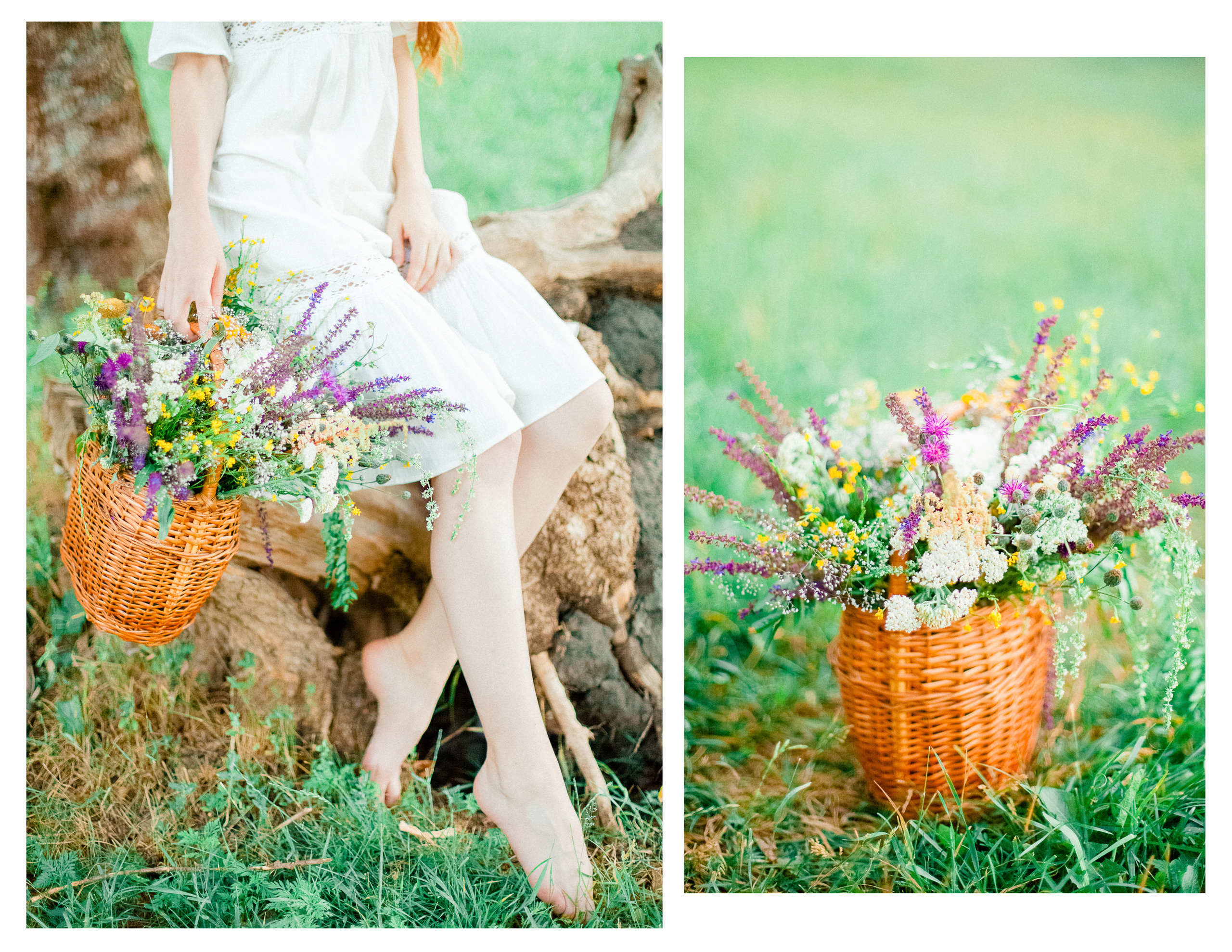 Warm shine. Diana Di — private photo editor for photographers