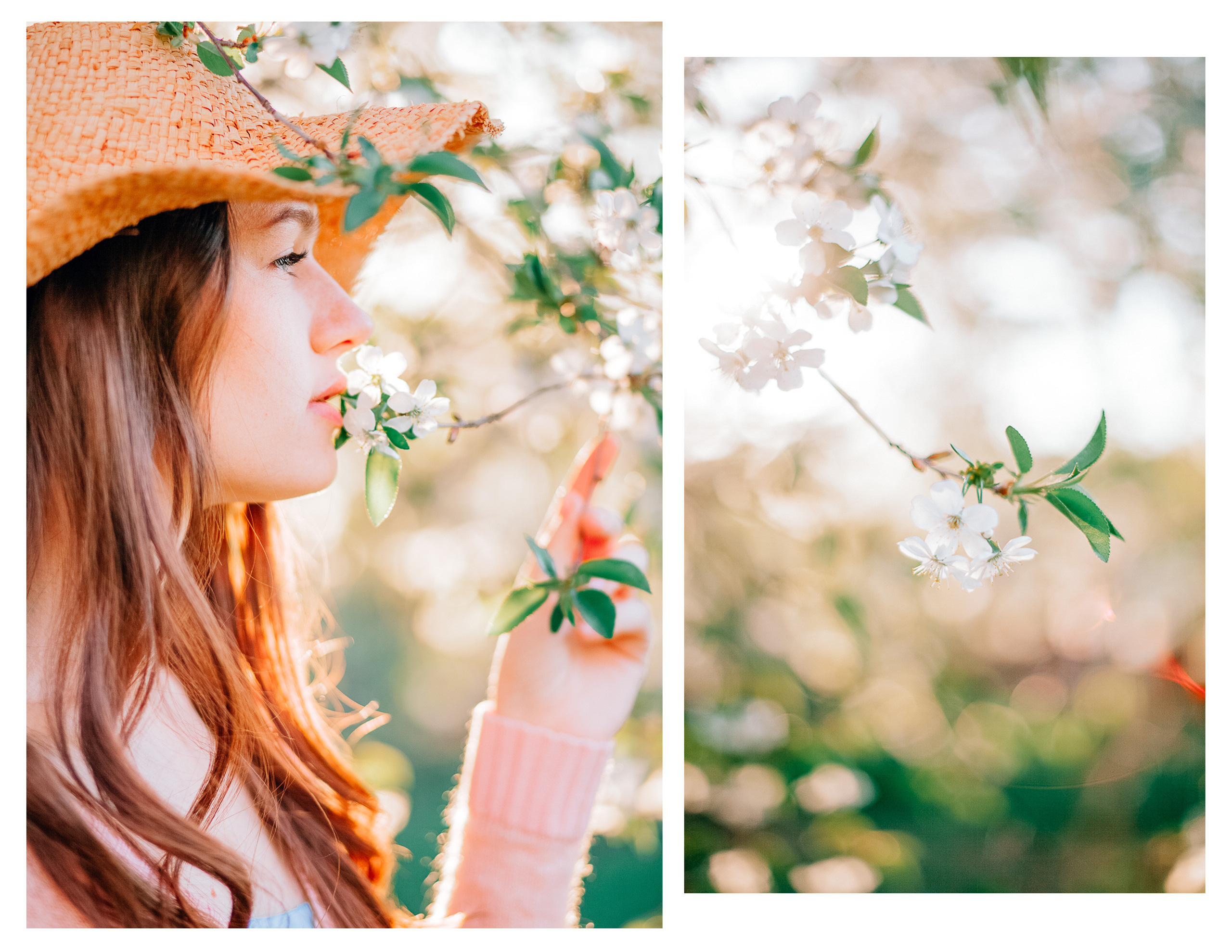 White spring. Diana Di — private photo editor for photographers