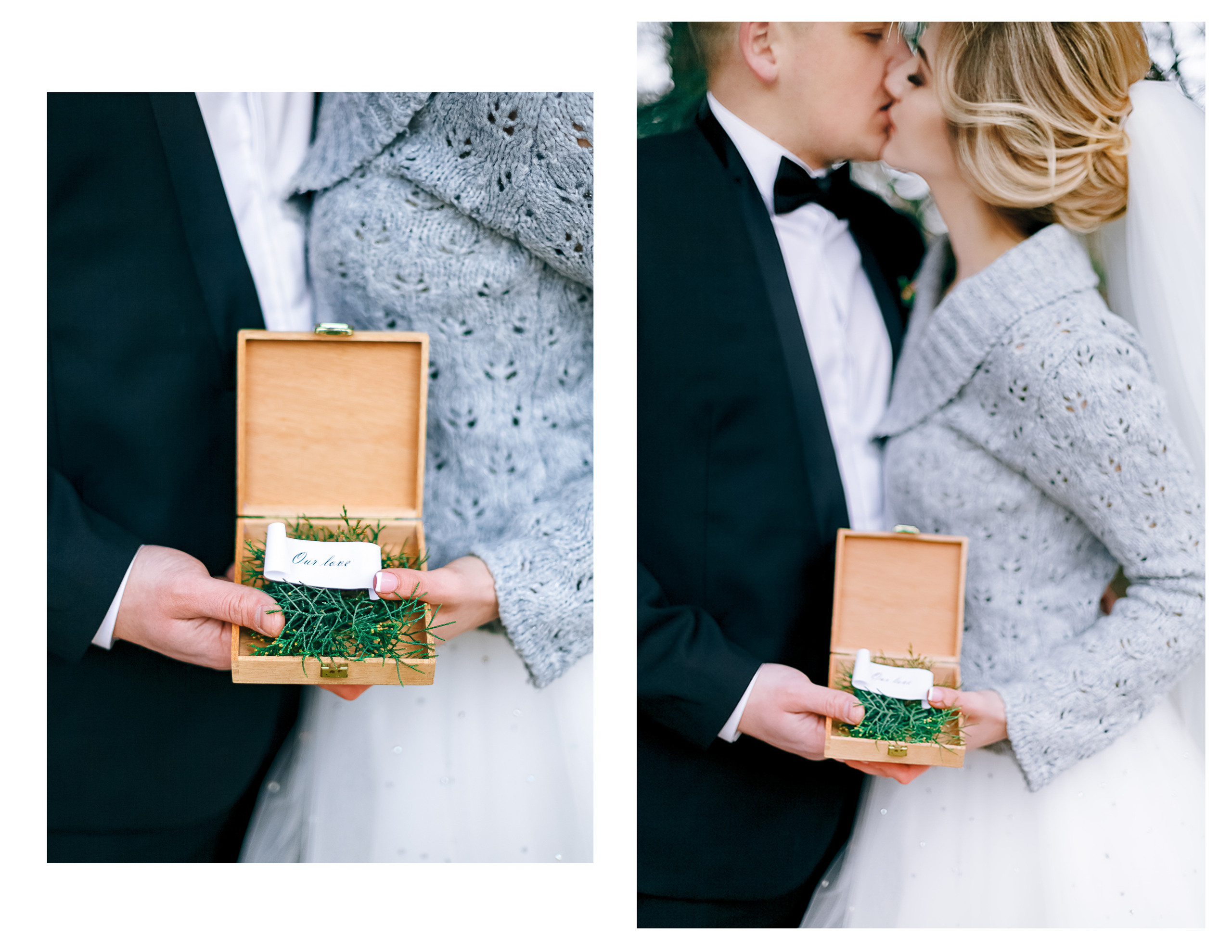 Фотосессия в сосновом лесу. Diana Di — private photo editor for photographers